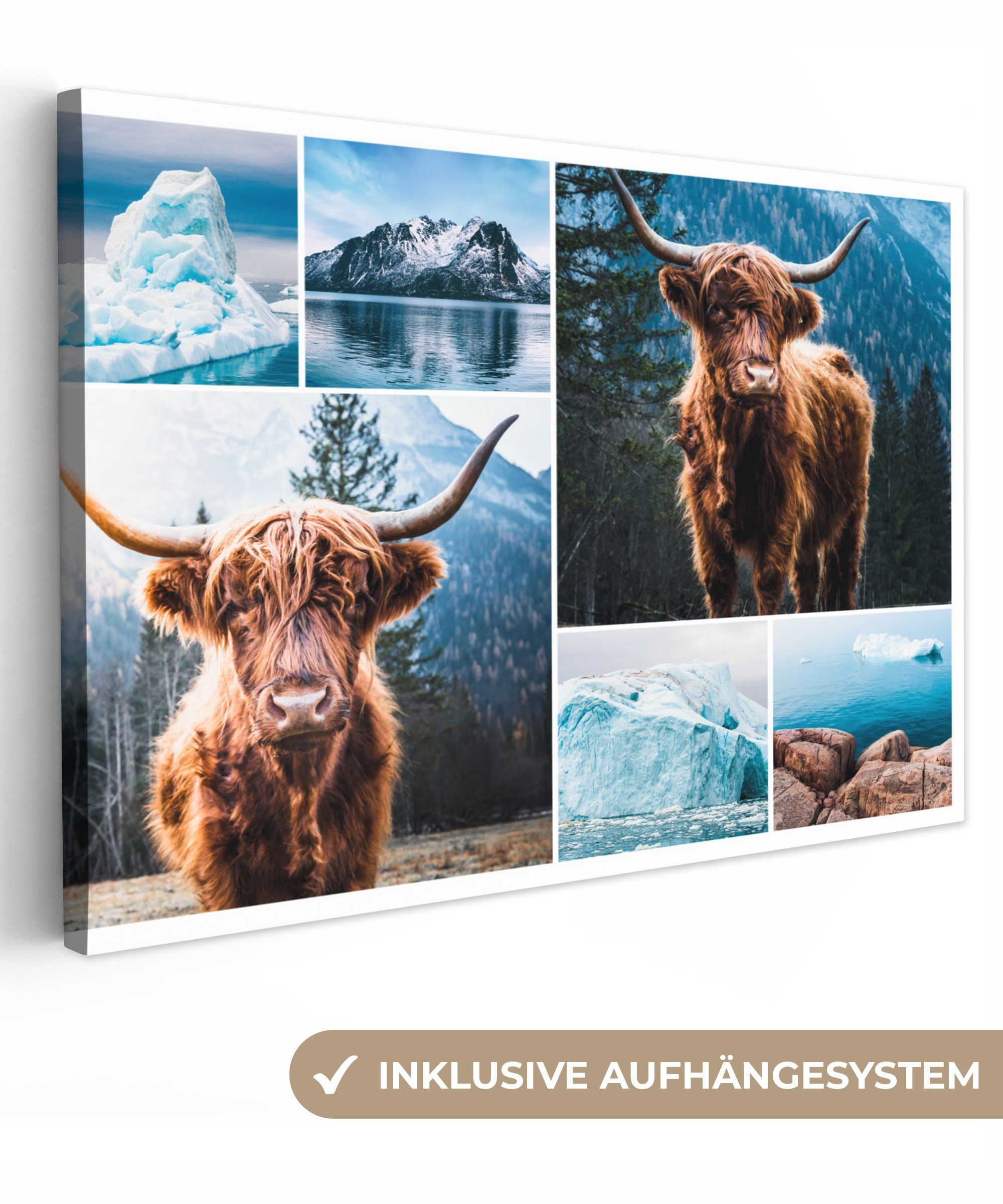 OneMillionCanvasses® Leinwandbild Schottischer Highlander - Collage - Winter, (1 St), Wandbild Leinwandbilder, Aufhängefertig, Wanddeko, 30x20 cm