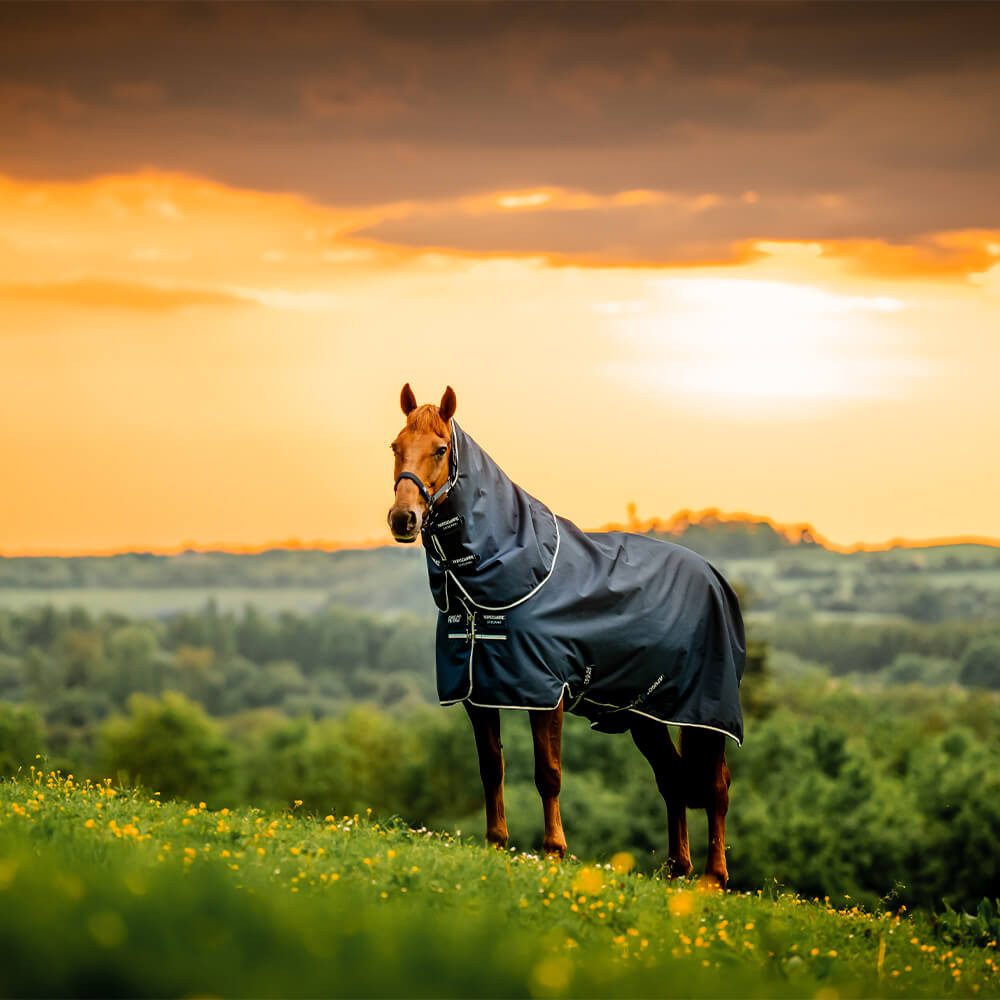 Horseware Pferde-Thermodecke Horseware Amigo Ripstop 900D Plus Pony Turnout 200g