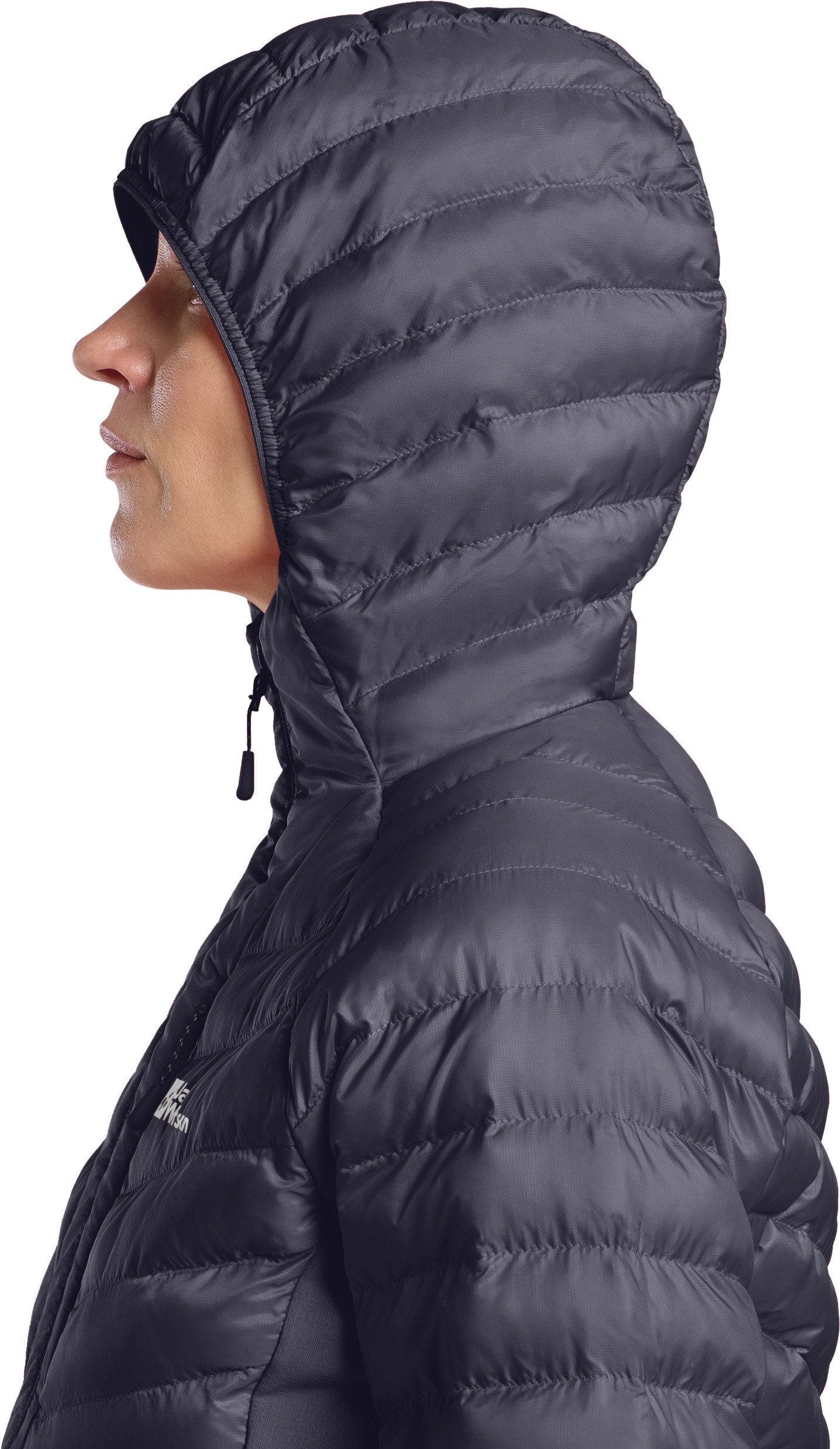 Jack Wolfskin Funktionsjacke ROUTEBURN PRO INS JKT W