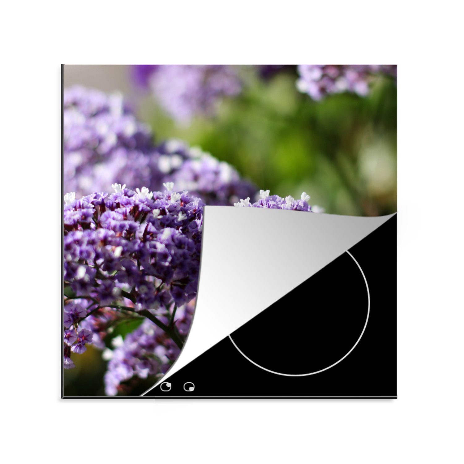 MuchoWow Herdblende-/Abdeckplatte Lila Limonium-Blüten vor einem unscharfen Hintergrund, Vinyl, (1 tlg), 78x78 cm, Ceranfeldabdeckung, Arbeitsplatte für küche