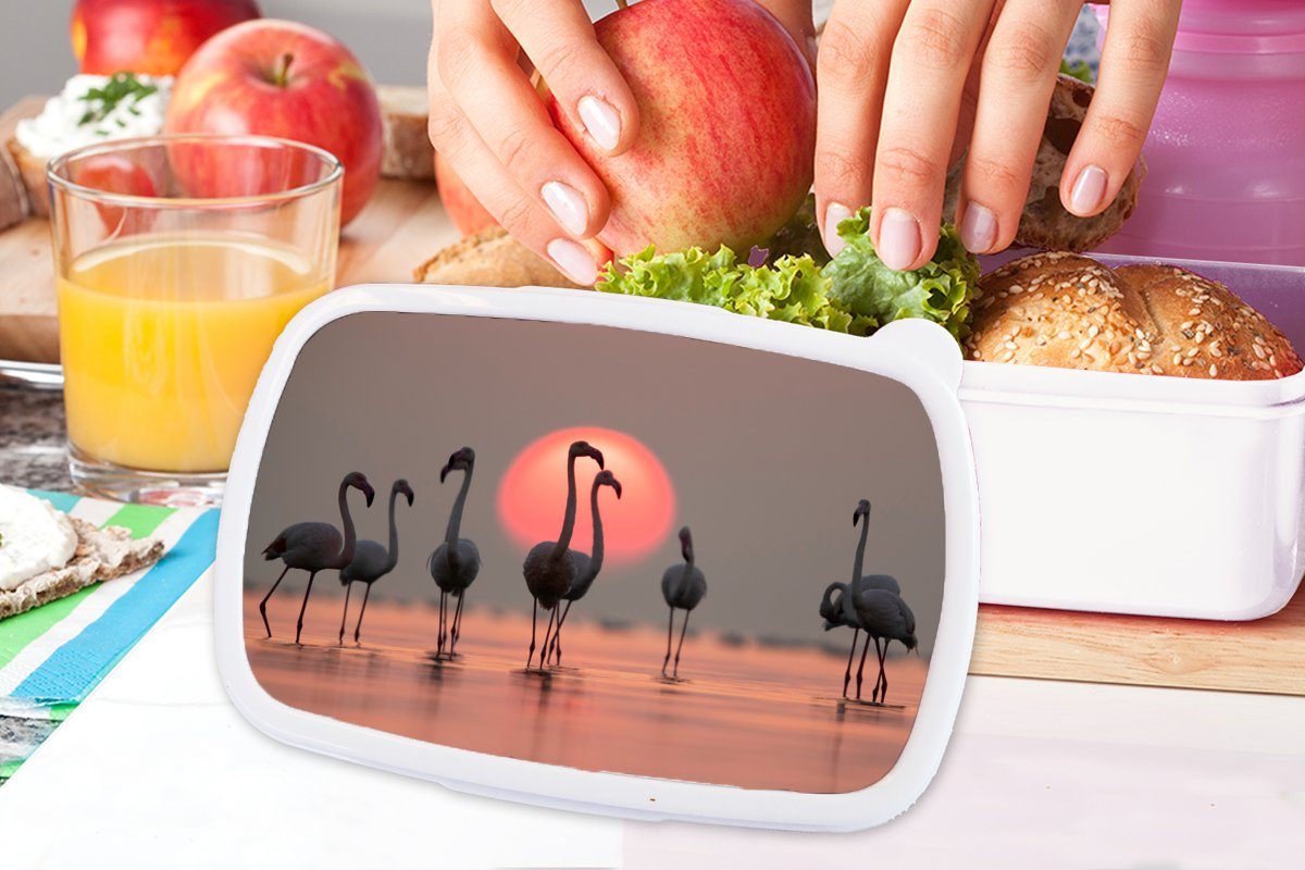 (2-tlg), und Mädchen Brotdose, Kunststoff, weiß und Brotbox Rosa, - Sonnenuntergang - für Erwachsene, Vogel - Lunchbox Flamingo Kinder MuchoWow für Jungs