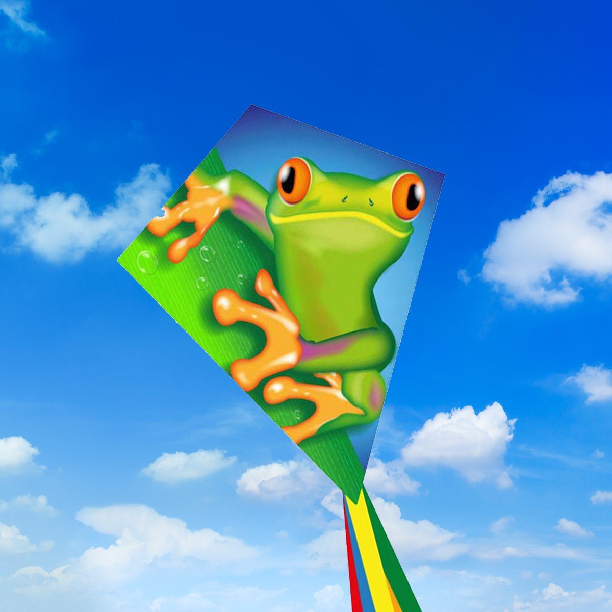 HQ Flug-Drache Kinderdrachen Einleiner Drachen HQ Eddy Froggy 70 cm Flugdrachen, Ready to Fly, inkl. Griff mit Schnur