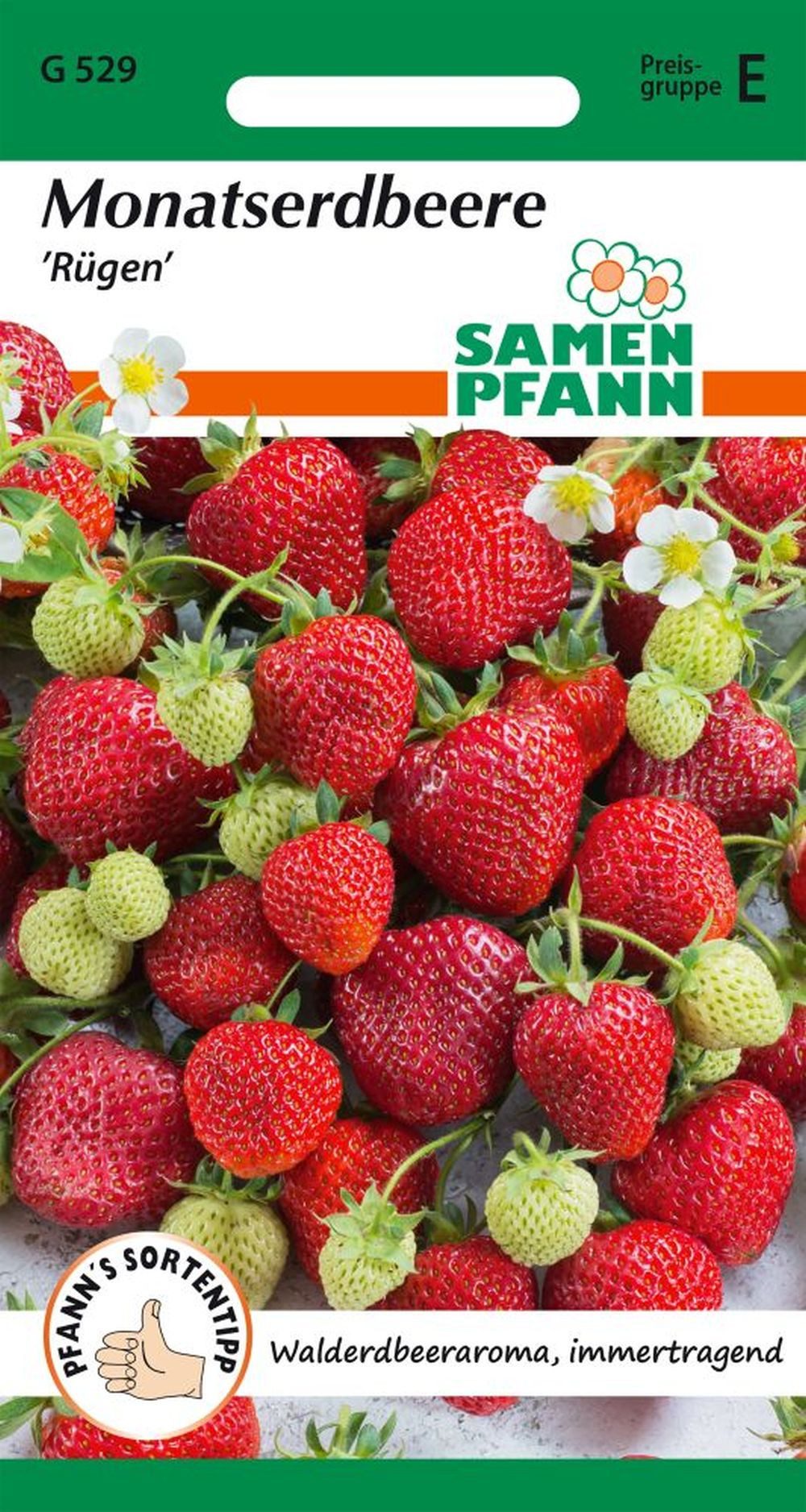 SAMEN PFANN Gemüsesamen Monatserdbeere, Rügen (Walderdbeere) - Erdbeer-Samen Saatgut Samen, Fragaria vesca