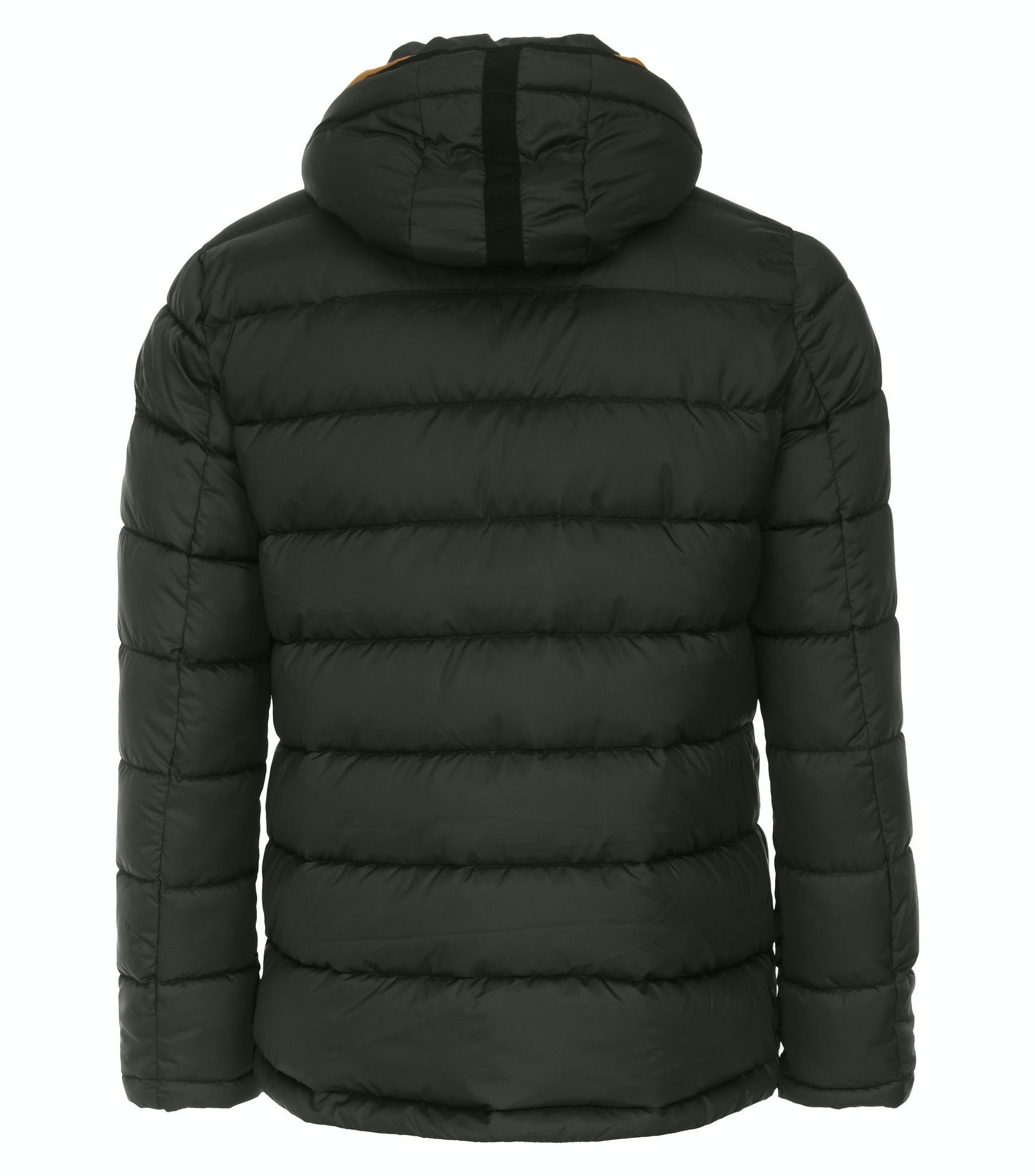 Grün (338) Steppjacke CASAMODA 534161200