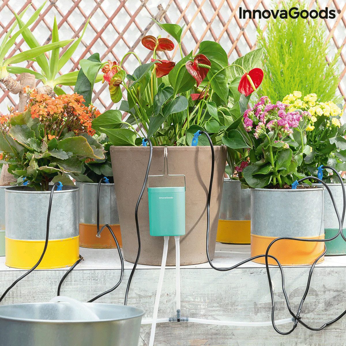 InnovaGoods Blumensamen InnovaGoods® automatisches Tropfbewässerungssystem für Töpfe Regott