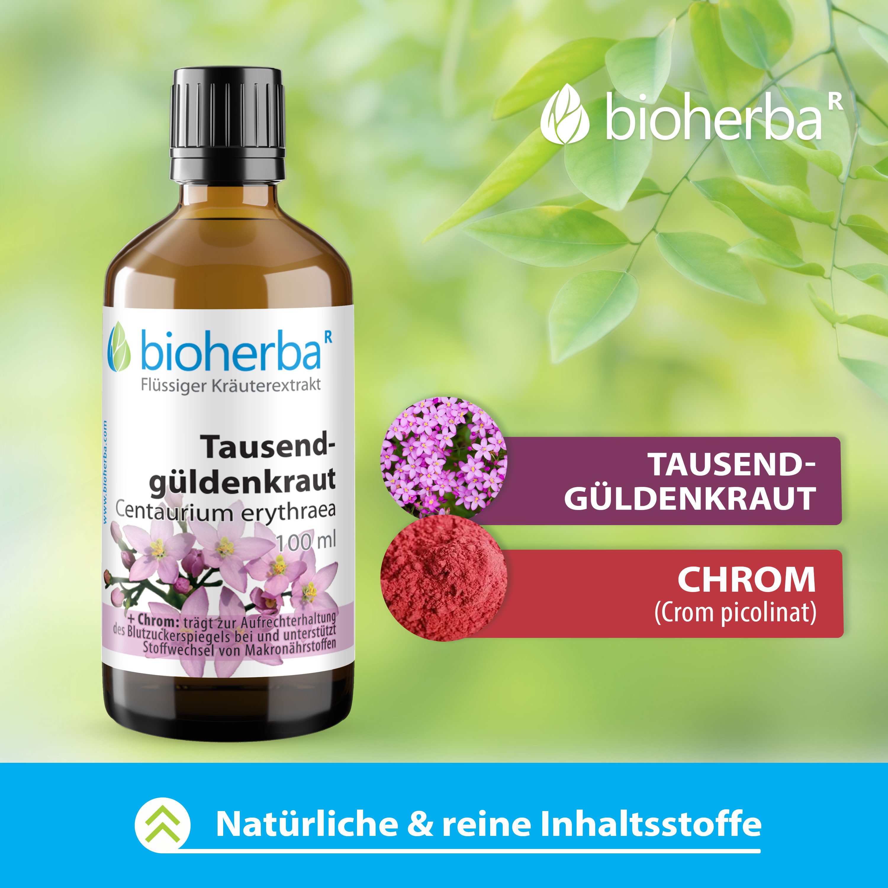 BIOHERBA R Tausendgüldenkraut Tropfen Tinktur 100 ml Nahrungsergänzungsmittel