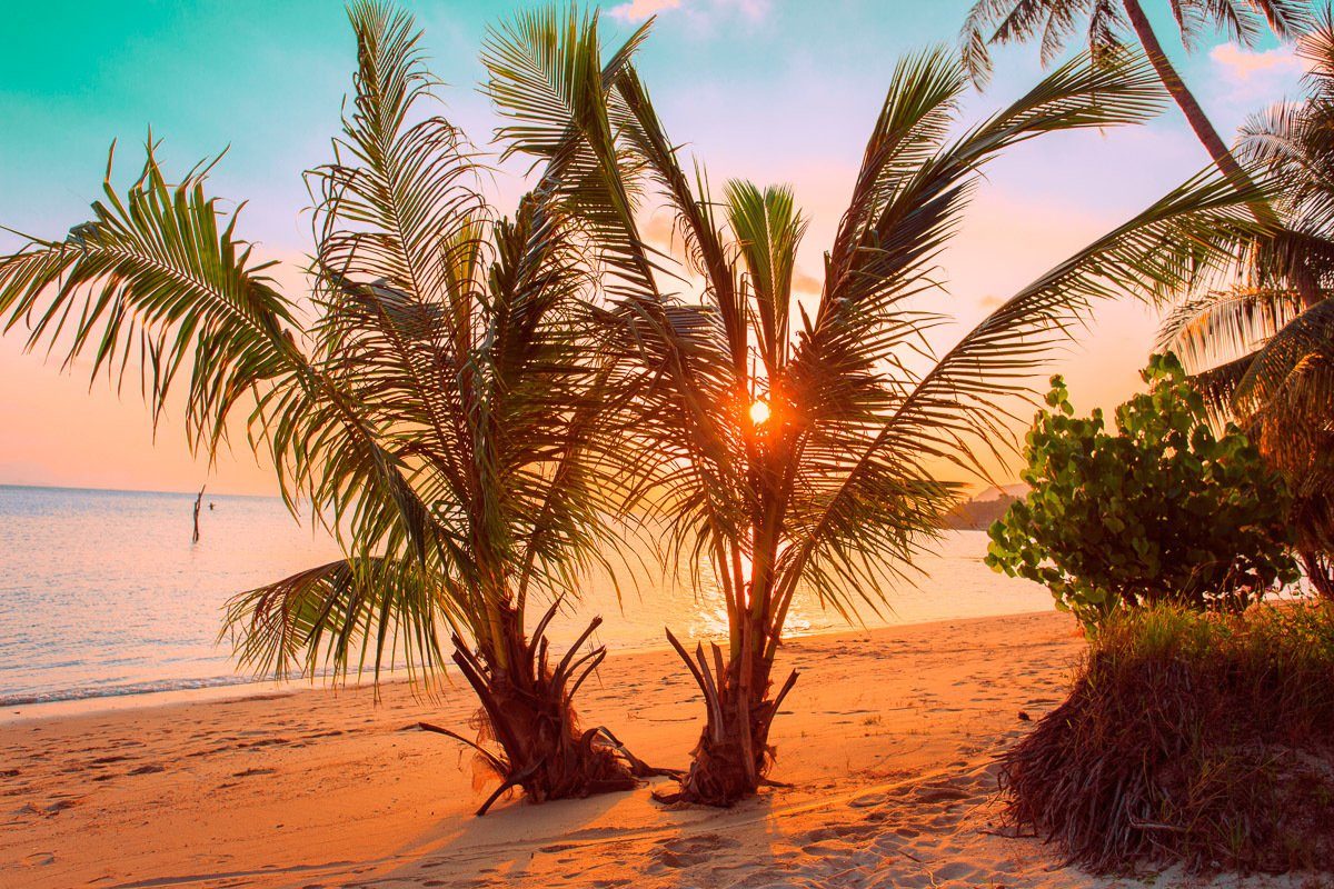 Tropischer Sonnenuntergangsstrand Papermoon Fototapete
