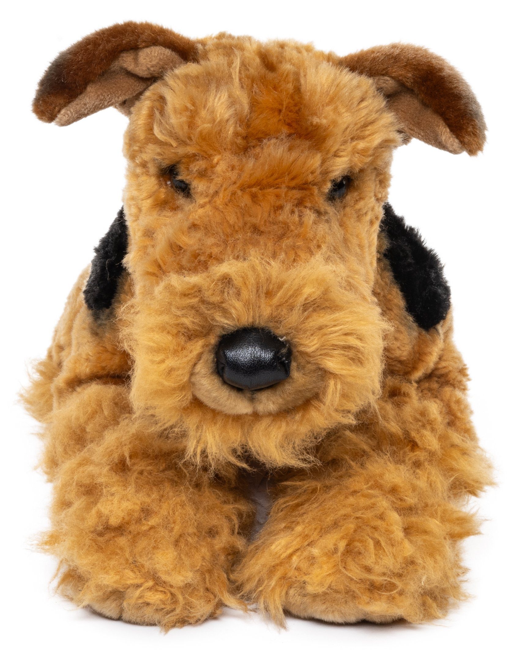 Uni-Toys Kuscheltier Airedale Terrier, liegend - 43 cm (Länge) - Plüsch-Hun günstig online kaufen