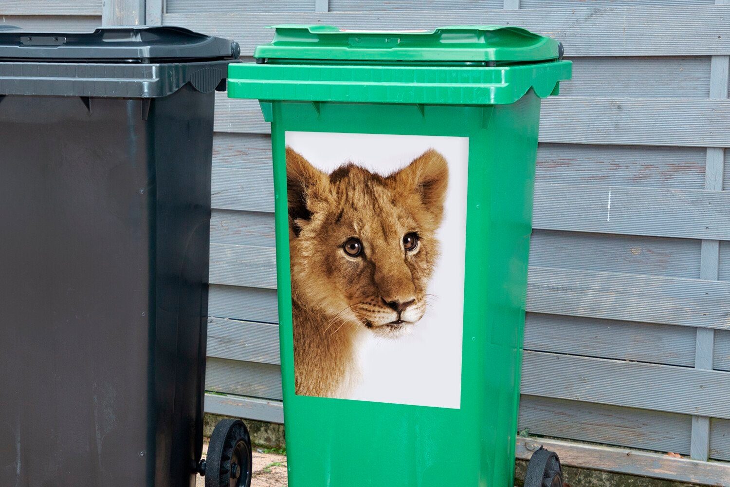 St), Mülleimer-aufkleber, MuchoWow Jungtier Mülltonne, Wild Container, Wandsticker - Sticker, Abfalbehälter - (1 Löwe
