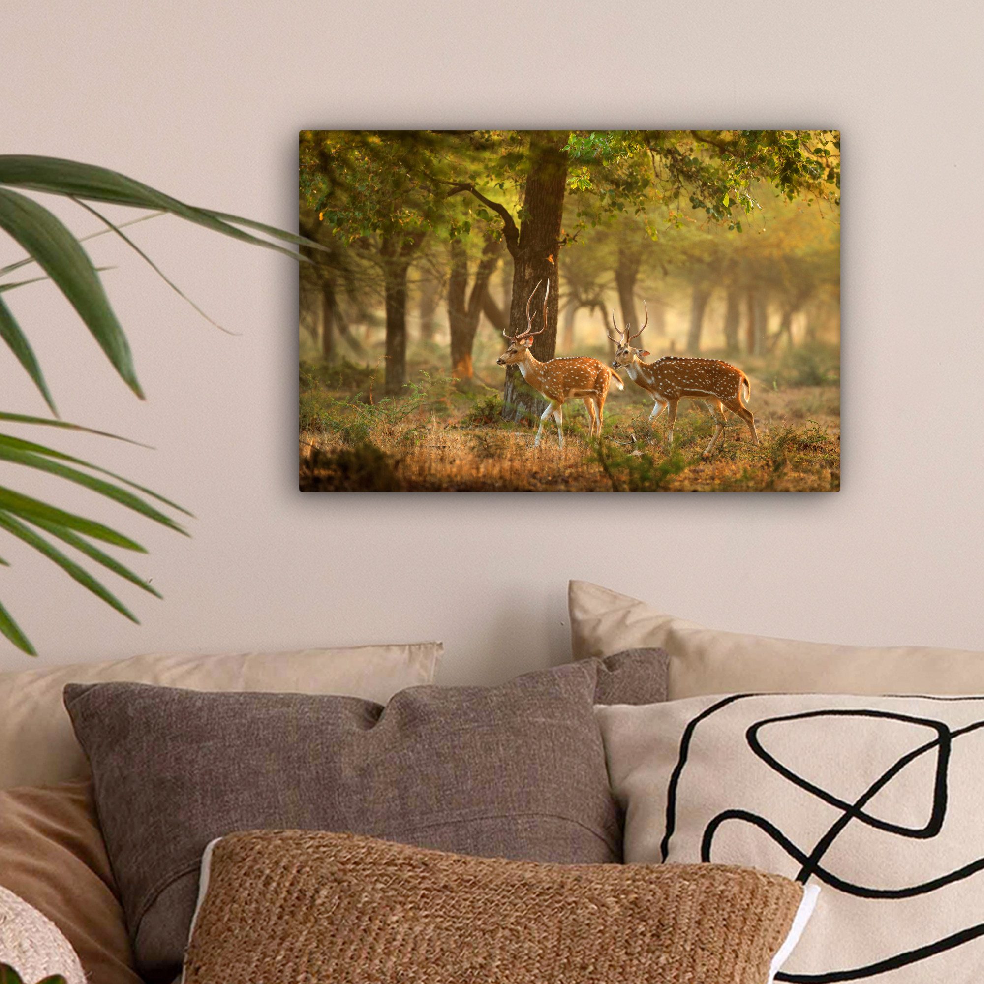 OneMillionCanvasses® Leinwandbild Hirsche - Wald - günstig online kaufen