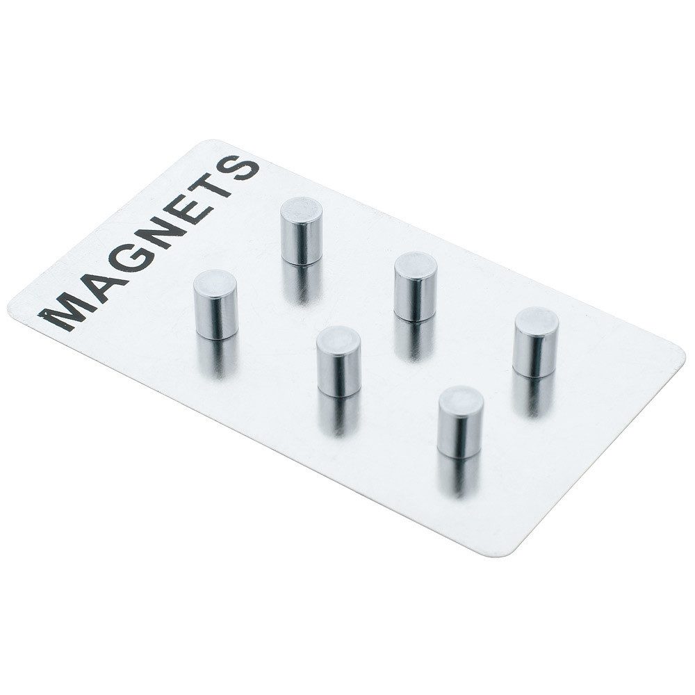 Zeller Present Magnettafel Set aus 6 Magneten für Notizen, Edelstahl, silber, ZELLER