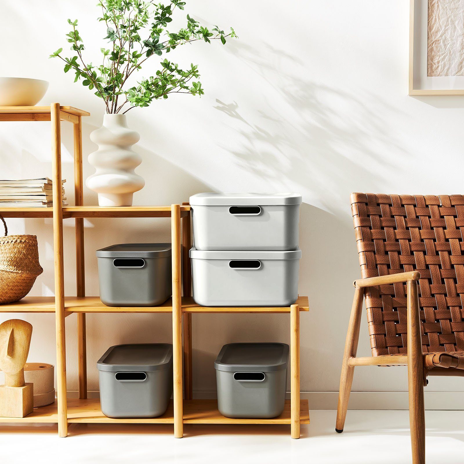 ROTHO Aufbewahrungsbox Albula Light 2er-Set Aufbewahrungskiste 20l (Aufbewahrungsboxenset, 2er-Set)