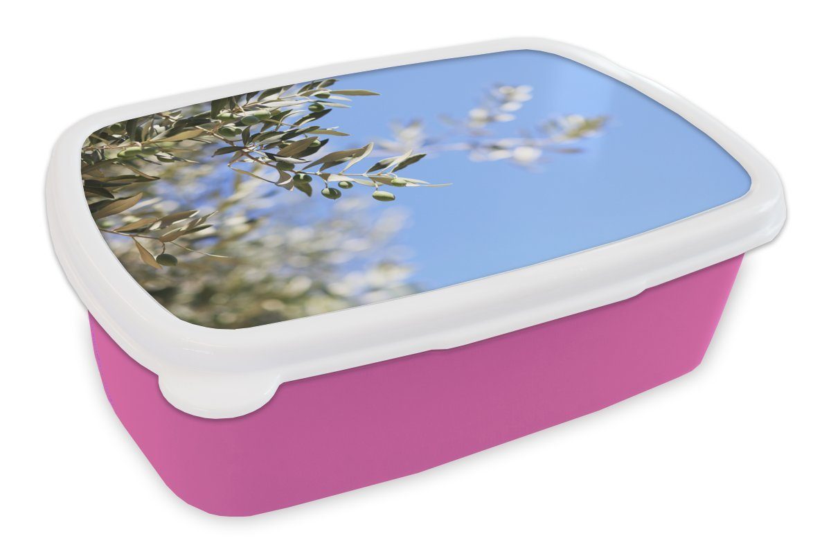 MuchoWow Lunchbox Zweige des Olivenbaums in Frankreich, Kunststoff, (2-tlg), Brotbox für Erwachsene, Brotdose Kinder, Snackbox, Mädchen, Kunststoff rosa