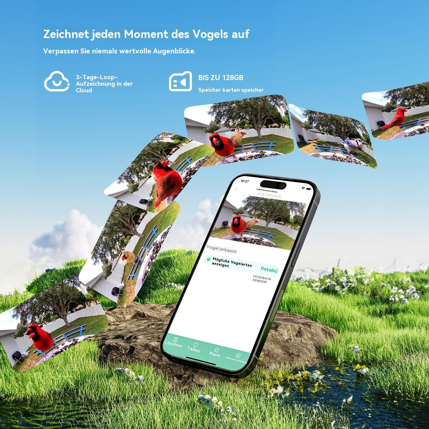 ieGeek Überwachungskamera Vogelhaus WLAN-Vogelhaus mit Kamera, KI-Vogelerkennung & Solarpanel (Garten, Balkon, Hof, Park, Naturschutzgebiet, Echtzeitbeobachtung des Nestbaus und der Brut von Vögeln, Infrarot-Nachtsicht, PIR-Bewegungserkennung, iOS/Android-kompatibel, 4MP-Kamera, ideal für Vogelbegeisterte, 10.000+-Vogelarten-erkenntnis, KI-Vogelerkennung, 5000-mAh-Akku, 2L-Futtercontainer, Eichhörnchenfestes Design, 170°-Diagonalsichtwinkel, Solarpanel)