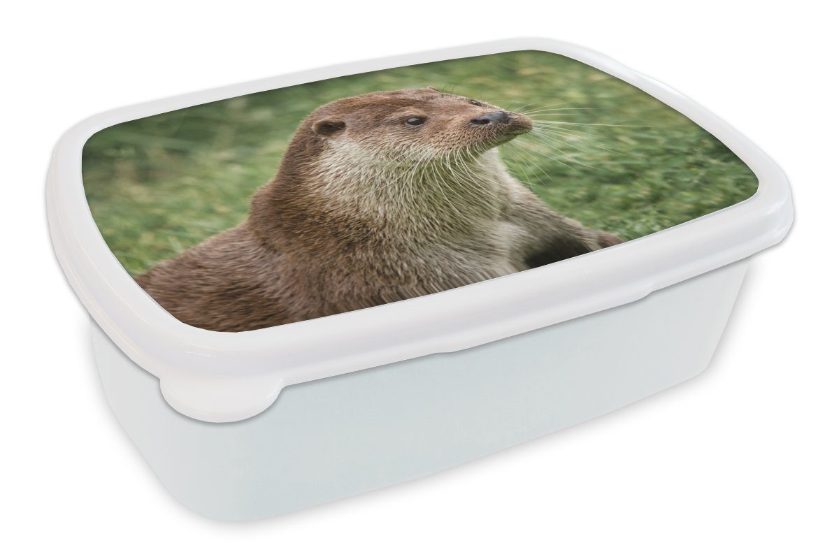 MuchoWow Lunchbox Otter im Gras, Kunststoff, (2-tlg), Brotbox für Kinder und Erwachsene, Brotdose, für Jungs und Mädchen weiß