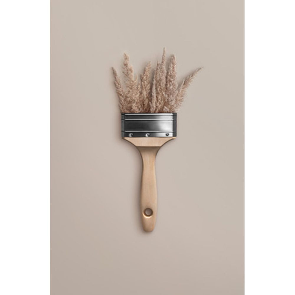 SCHÖNER WOHNEN FARBE Wandfarbe Schöner Wohnen Trend Wandfarbe matt 5,0 Ltr. Cosy