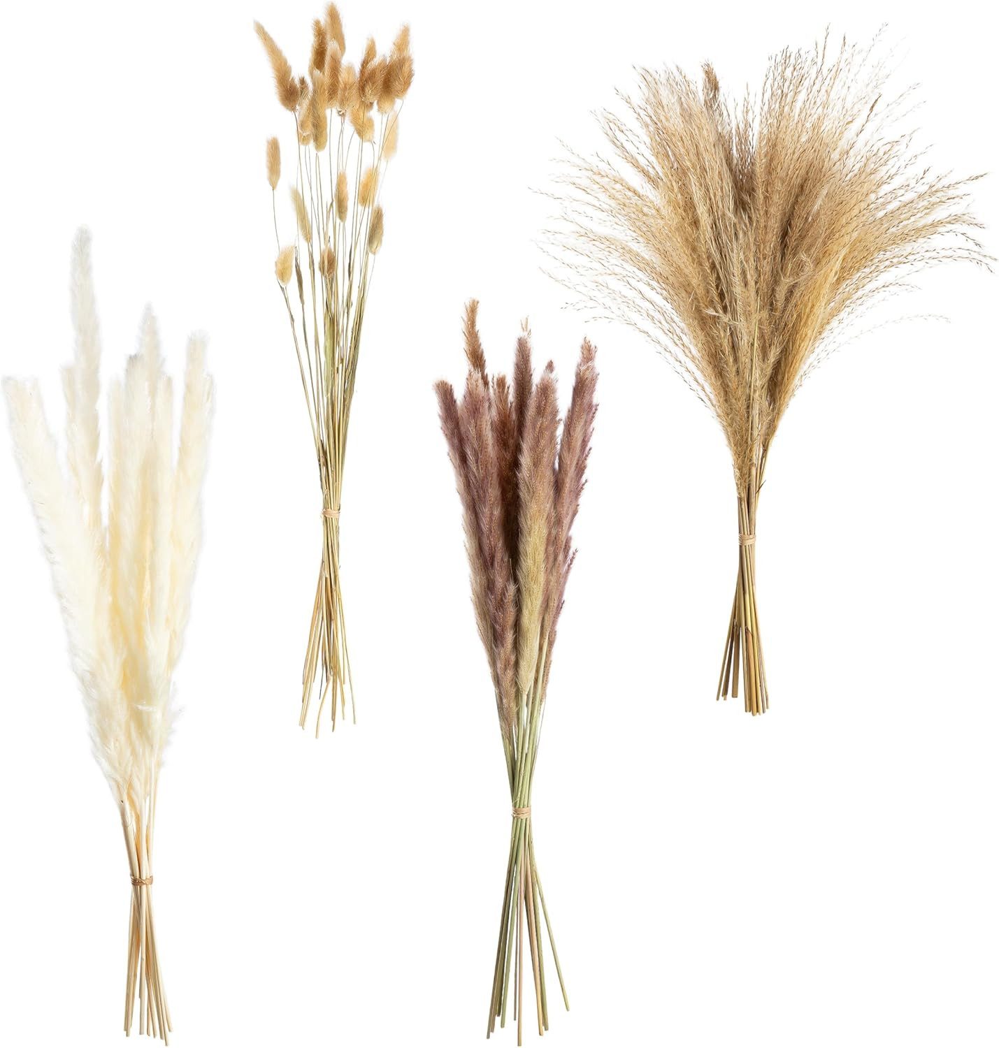 GILDE Dekoobjekt Bündel Trockenblume Seco naturfarben H. 53 cm (1 St)