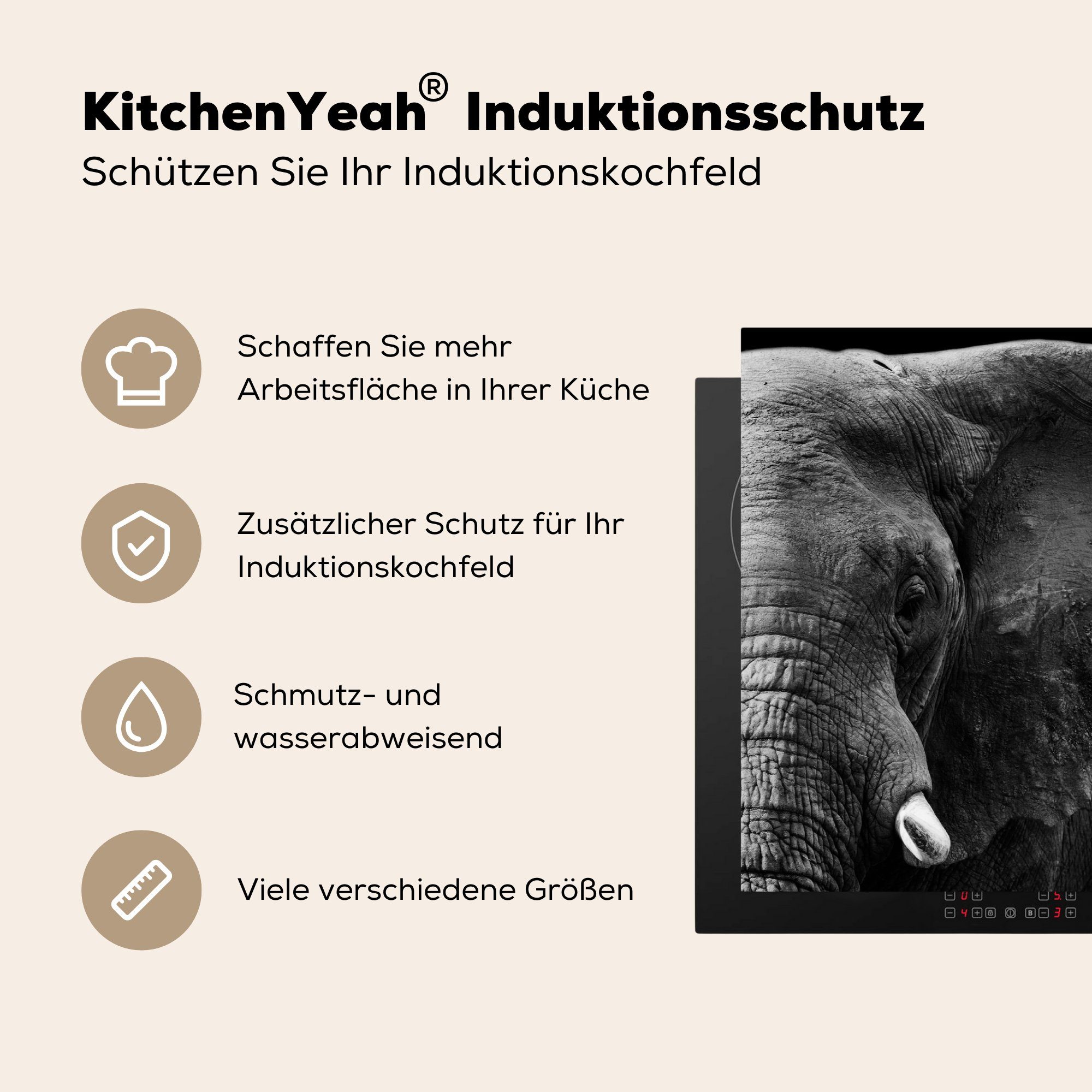 cm, für Tiere Wild Elefant tlg), küche MuchoWow Schwarz - (1 Herdblende-/Abdeckplatte Vinyl, - - Arbeitsplatte Weiß, 81x52 Ceranfeldabdeckung, -