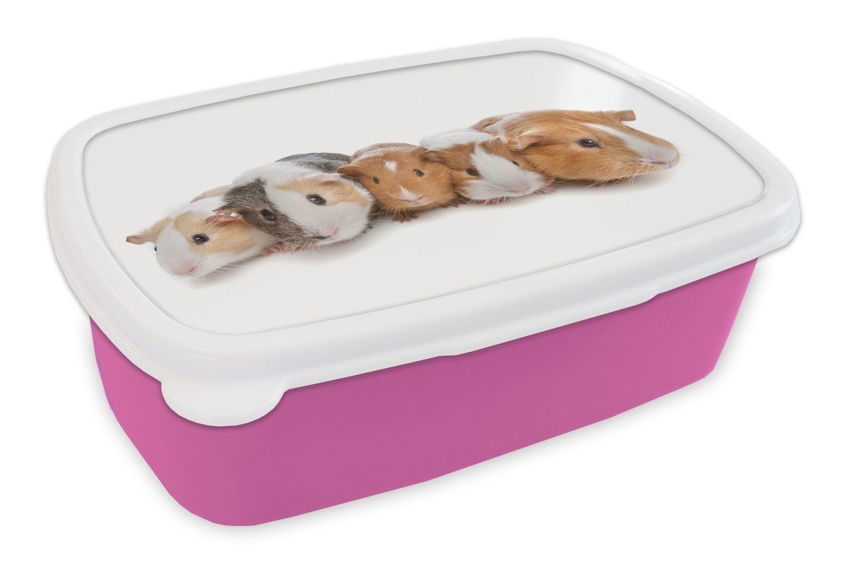 MuchoWow Lunchbox Fünf Kinder, Erwachsene, Kunststoff Brotbox Meerschweinchen, Snackbox, Mädchen, (2-tlg), für Kunststoff, rosa Brotdose