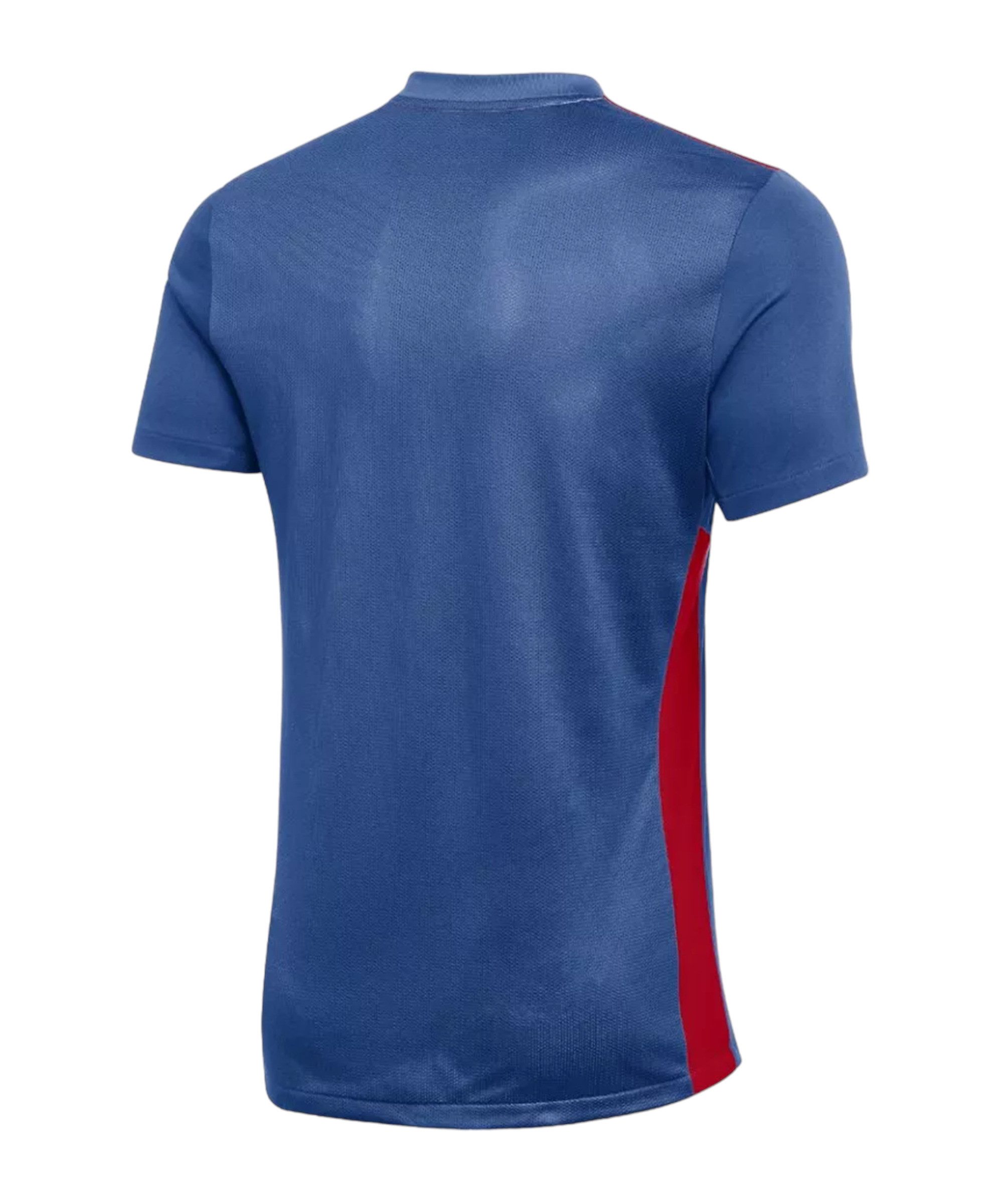 Nike Fußballtrikot Nike Performance Park Derby IV Trikot Kids Teamsport – Bild 2 von 3