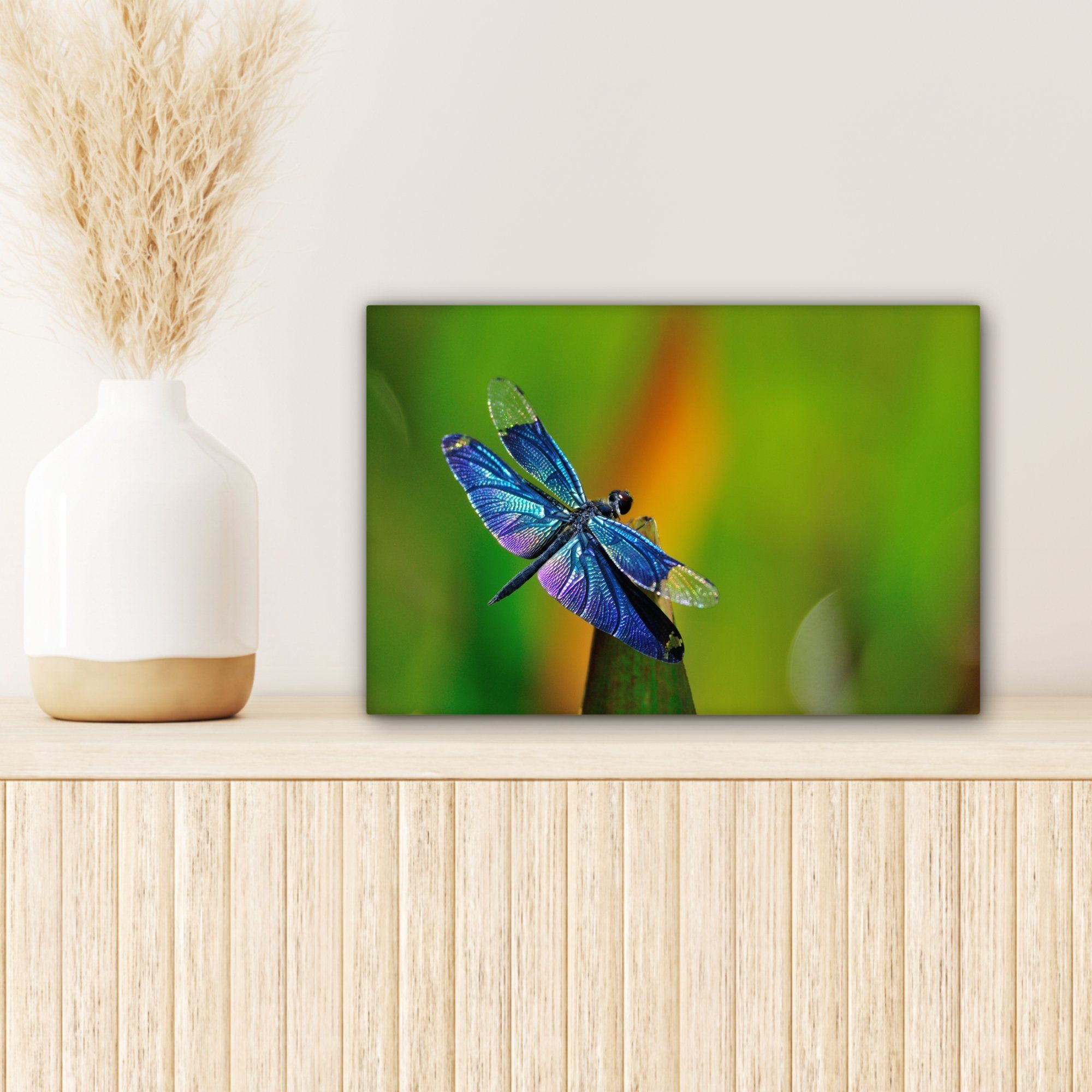 OneMillionCanvasses® Leinwandbild Eine blaue Wandbild (1 Wanddeko, Leinwandbilder, Libelle, 30x20 cm Aufhängefertig, St)