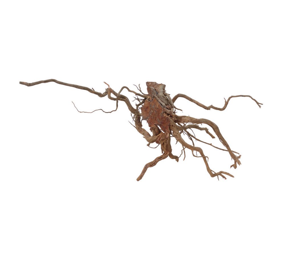 Thumbnail - Aquaone Aquarium XL Drachen Wurzel Nr.7078 Holz Deko Aquascaping