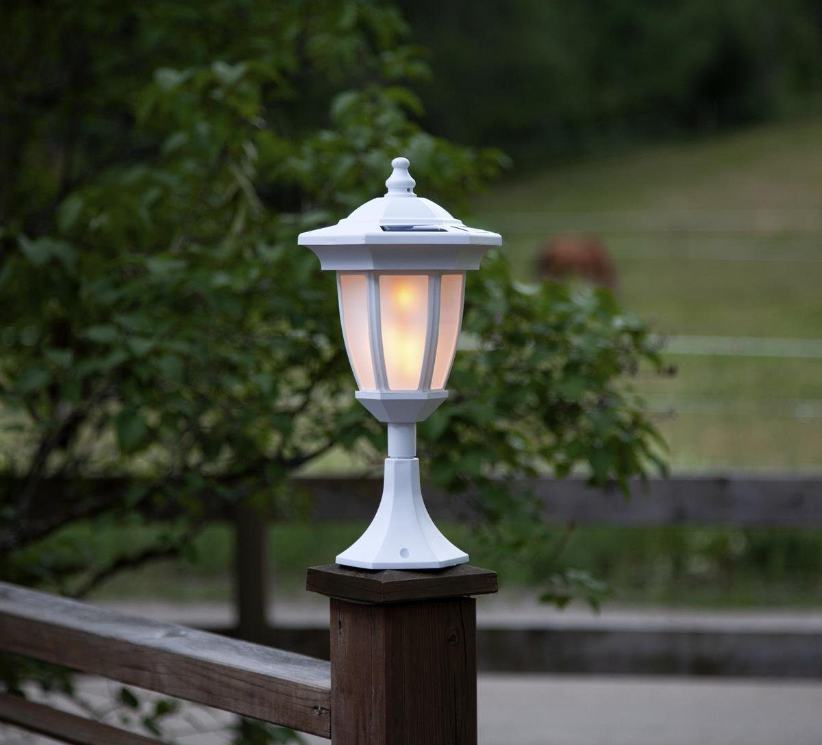 STAR TRADING LED Laterne LED Solar günstig online kaufen
