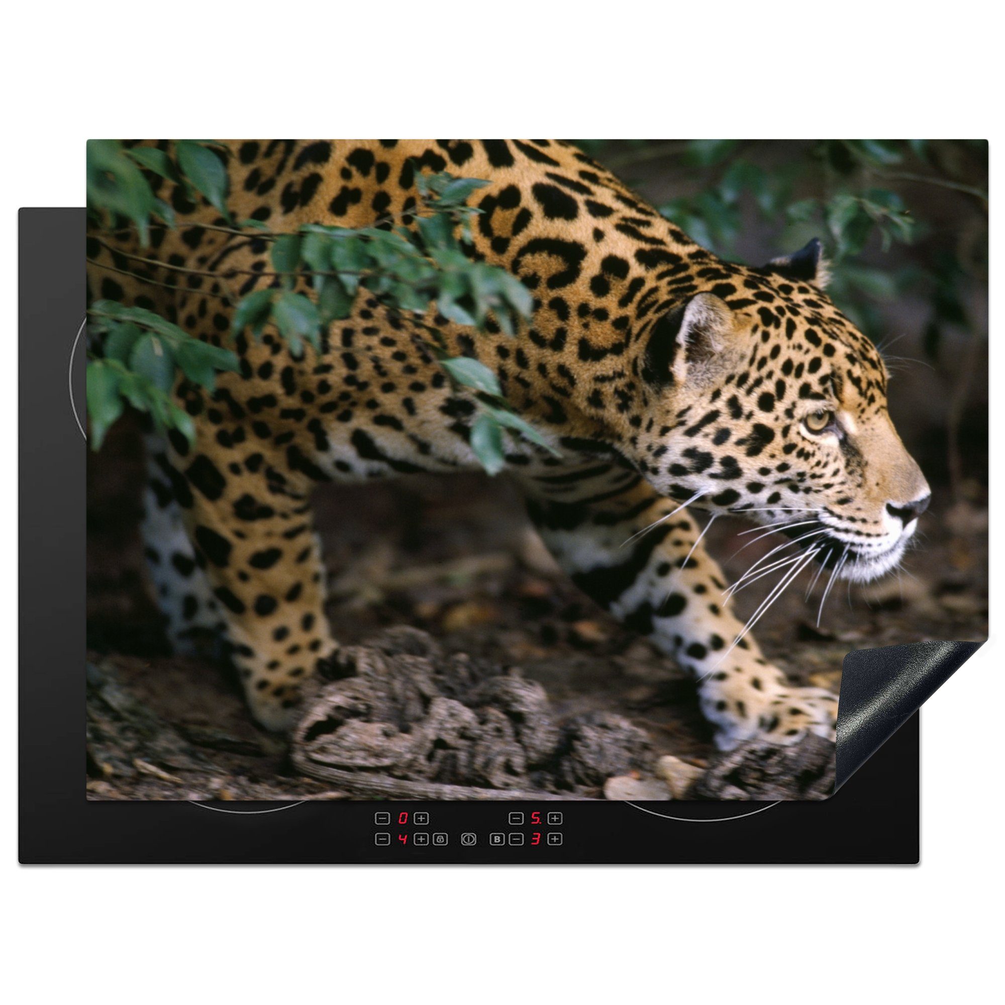 [Jedes Mal sehr beliebt] MuchoWow Herdblende-/Abdeckplatte Schleichender Mobile 70x52 Arbeitsfläche Vinyl, nutzbar, (1 Wald, cm, tlg), Jaguar im Ceranfeldabdeckung