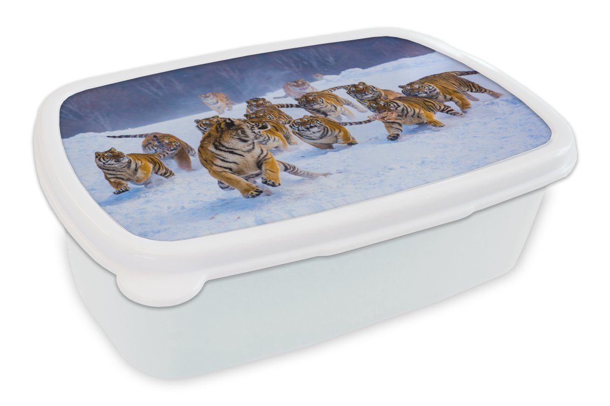 MuchoWow Lunchbox Tiger - Schnee - Wilde Tiere - Winter, Kunststoff, (2-tlg), Brotbox für Kinder und Erwachsene, Brotdose, für Jungs und Mädchen weiß