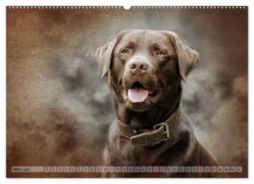 CALVENDO Wandkalender Jagdhunde im Portrait (Premium, hochwertiger DIN A2 Wandkalender 2023, Kunstdruck in Hochglanz)