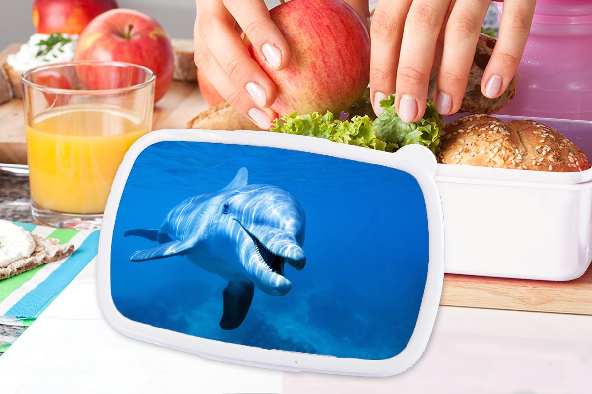 für und Erwachsene, für weiß Delfin Kunststoff, Meer, Brotbox MuchoWow und - - Mädchen Brotdose, Lunchbox (2-tlg), Jungs Kinder Wasser