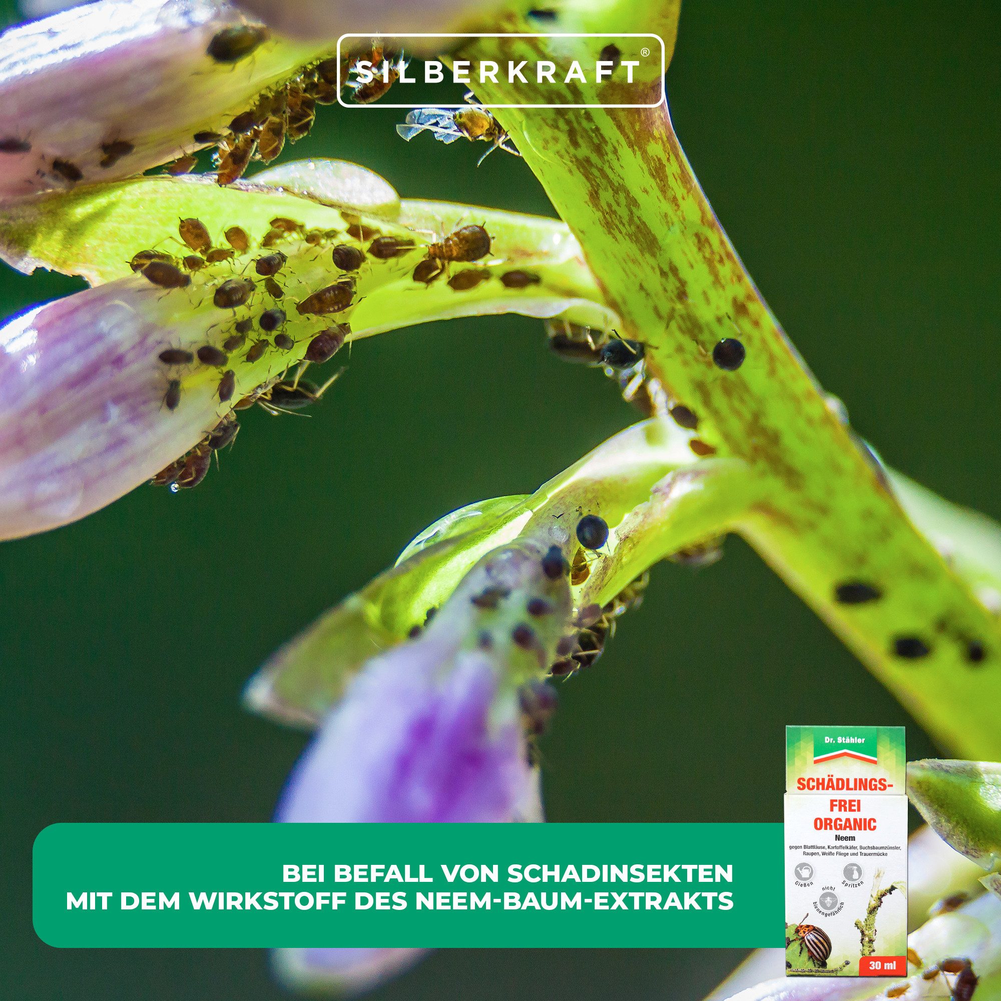 Dr. Stähler Pflanzenstärkungsmittel Schädlingsfrei-Organic mit Neem-Baum-Extrakt: Schutz vor Schädlingen, Schädlingsmittel Organic Mit Neem-Extrakt für gesunde Pflanzen, 1-St., 30 ml Neem-Pflanzenschutz Biologisch wirksam bei Schädlingsbefall, Schädlingsfrei-Organic – Pflanzenschutz mit Neem gegen Schädlinge