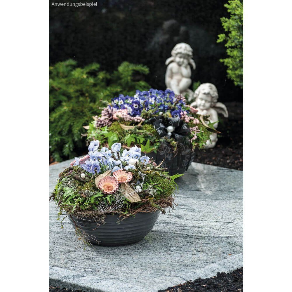 matches21 HOME & HOBBY Blumentopf Pflanzschale günstig online kaufen