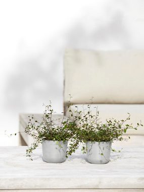 ECOPOTS Blumentopf Oslo Mini 11,5 Weißgrau, für den Innenbereich