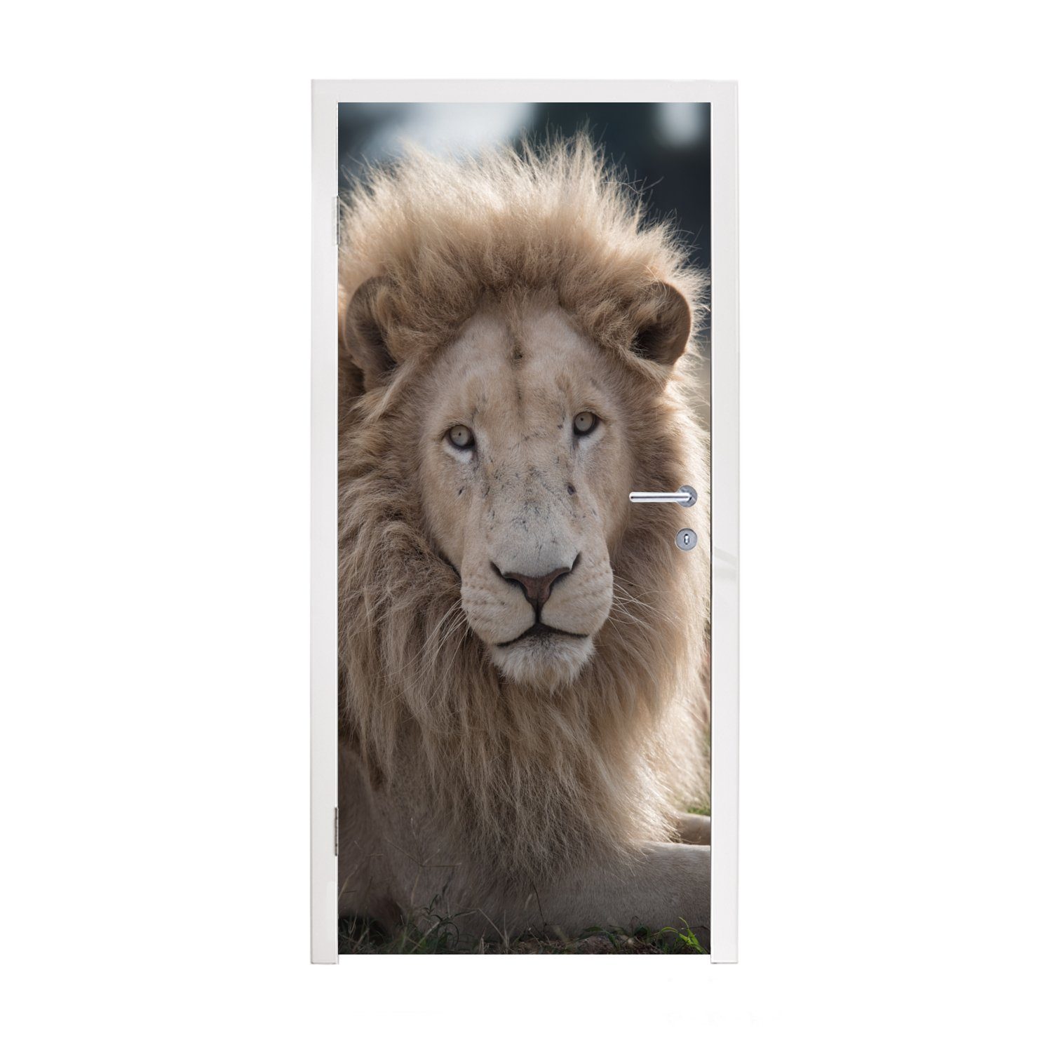 MuchoWow Türtapete Löwe - Tier - Weiß, Matt, bedruckt, (1 St), Fototapete für Tür, Türaufkleber, 75x205 cm