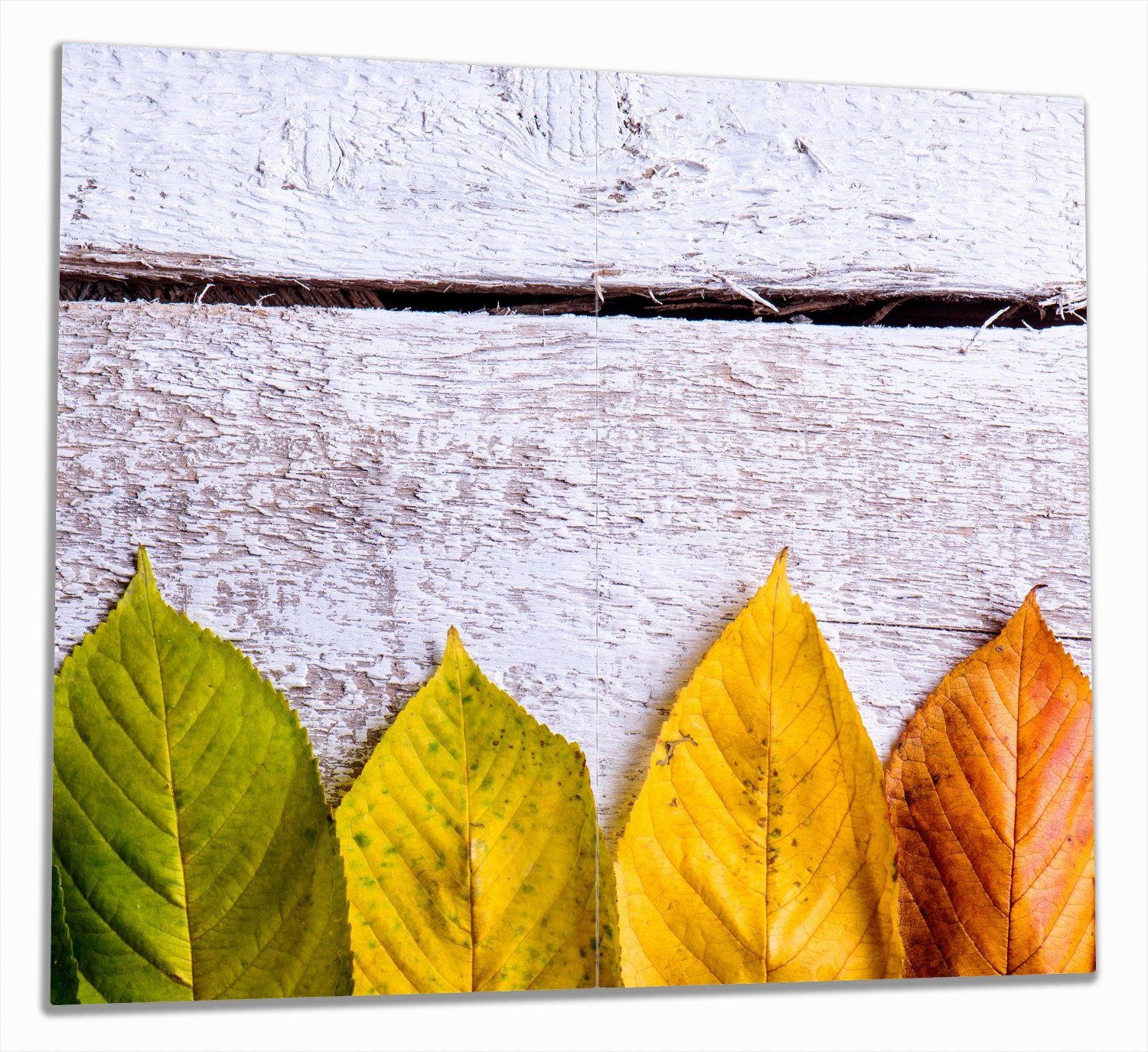 Wallario Herd-Abdeckplatte Bunte Herbstblätter auf hellem Holz, ESG-Sicherheitsglas, (Glasplatte, 2 tlg., inkl. 5mm Noppen), verschiedene Größen