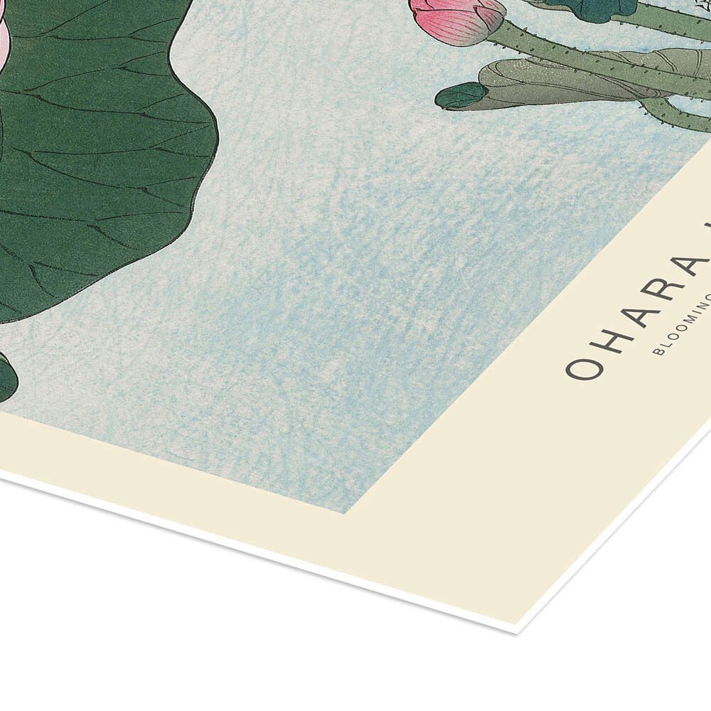 Posterlounge Wandbild Blooming Lotus, 1926, Ohara Koson, erhältlich als Poster, Leinwandbild, Wandsticker oder Acrylglasbild