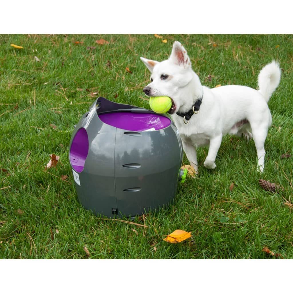 PetSafe Hunde-Ballschleuder Automatischer Ballwerfer 9 m Grau und Lila  PTY00-14665