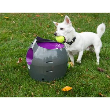 PetSafe Hunde-Ballschleuder Automatischer Ballwerfer für Haustiere 9 m Grau und Lila