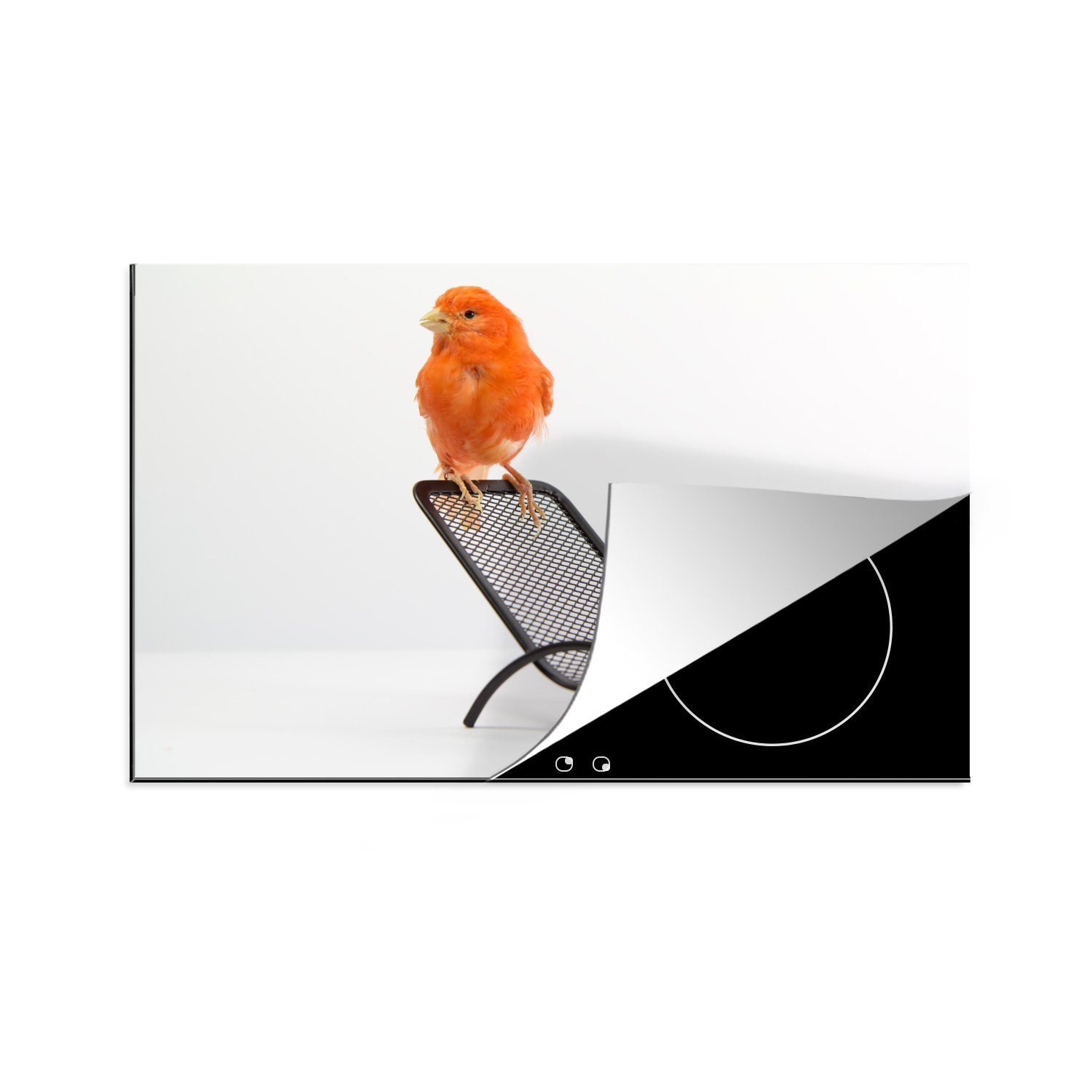 MuchoWow Herdblende-/Abdeckplatte Roter Kanarienvogel auf einem Stuhl, Vinyl, (1 tlg), 81x52 cm, Induktionskochfeld Schutz für die küche, Ceranfeldabdeckung