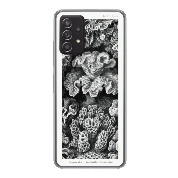 MuchoWow Handyhülle Kunst - Koralle - Ernst Haeckel - Alte Meister - Natur Handyhülle Telefonhülle Samsung Galaxy A73