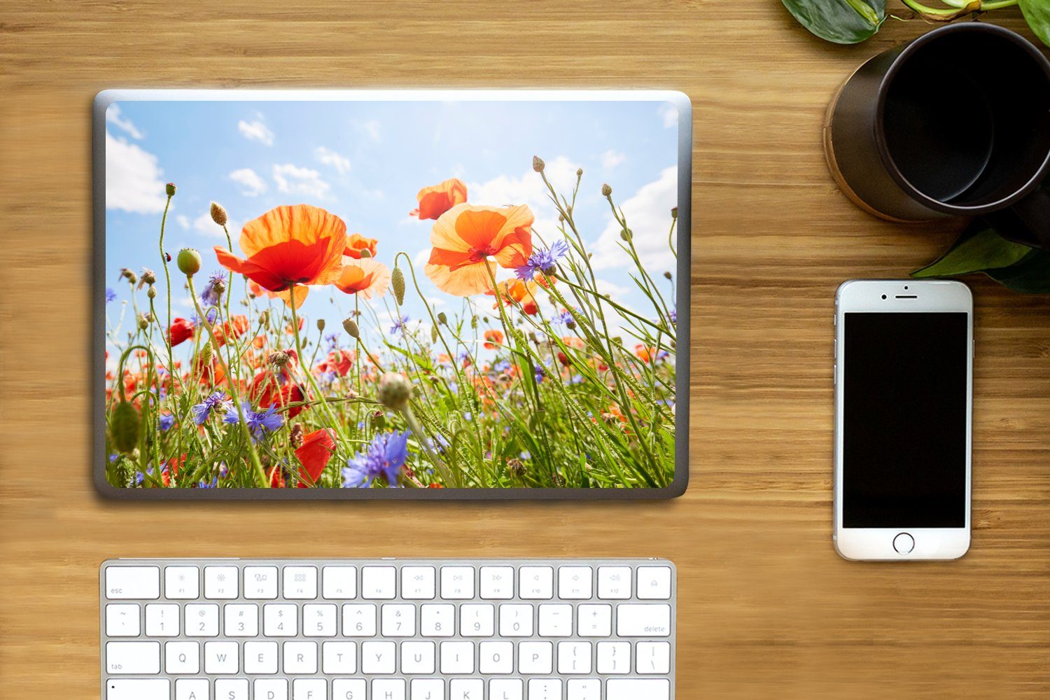Thumbnail - MuchoWow Laptop-Aufkleber Blumen - Mohn - Frühling - Natur - Rot - Blau, (1tlg), Laptop Folien Cover, Aufkleber, Sticker...