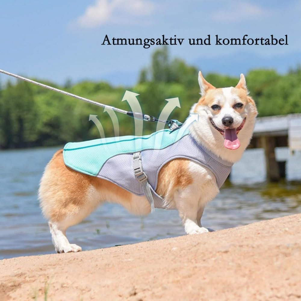 FELIXLEO Hundeweste Kühlweste für Hunde Leicht Reflektierend UV Schutz Atmungsaktiv M