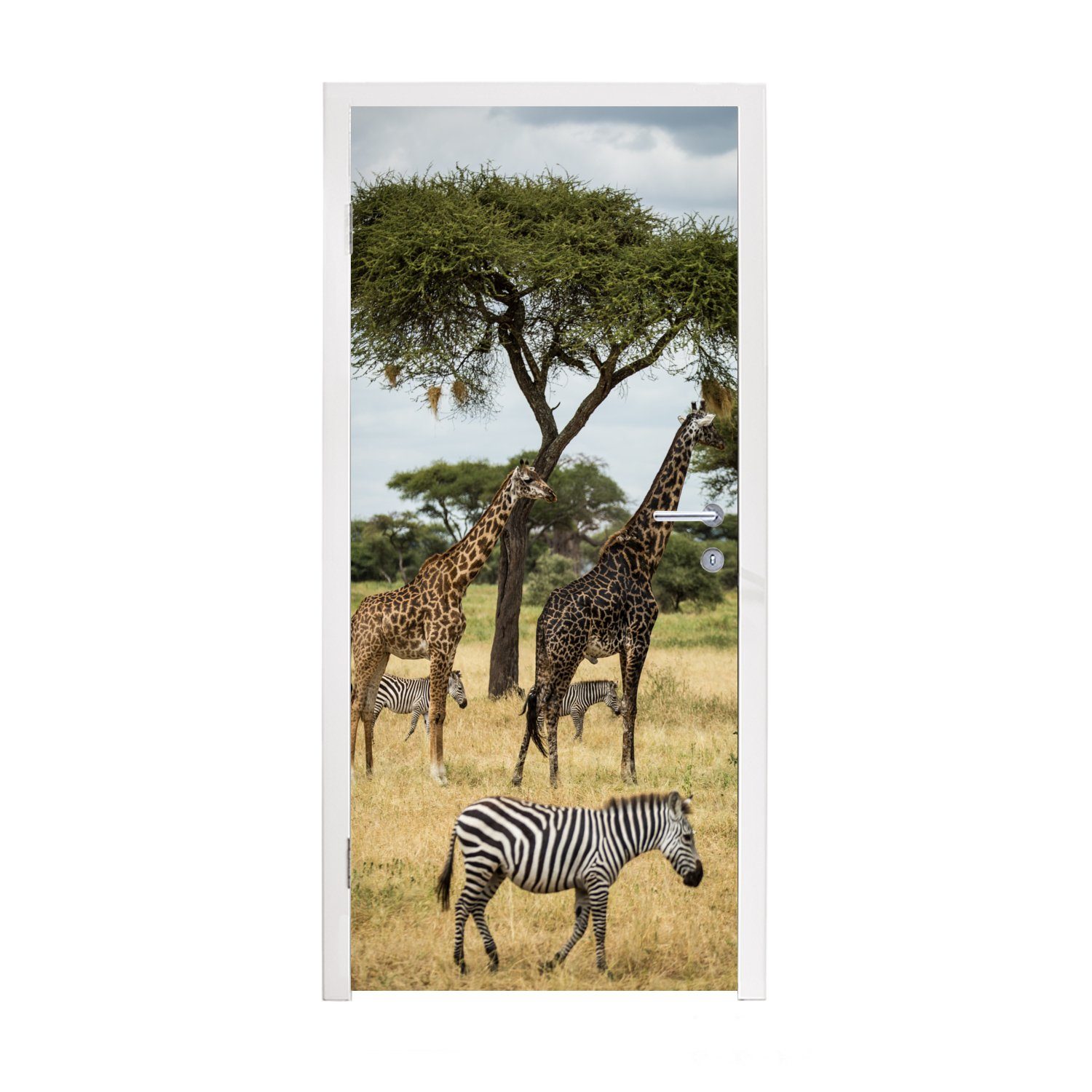 MuchoWow Türtapete Giraffen und Zebras gemeinsam in der Savanne des, Matt, bedruckt, (1 St), Fototapete für Tür, Türaufkleber, 75x205 cm