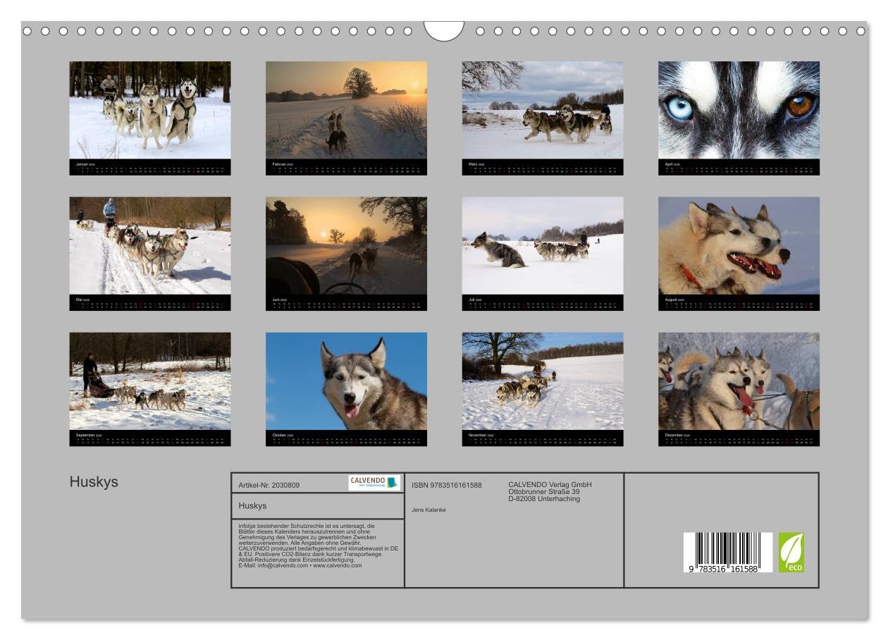 Thumbnail - CALVENDO Wandkalender Huskys (Wandkalender 2026 DIN A3 quer), CALVENDO Monatskalender