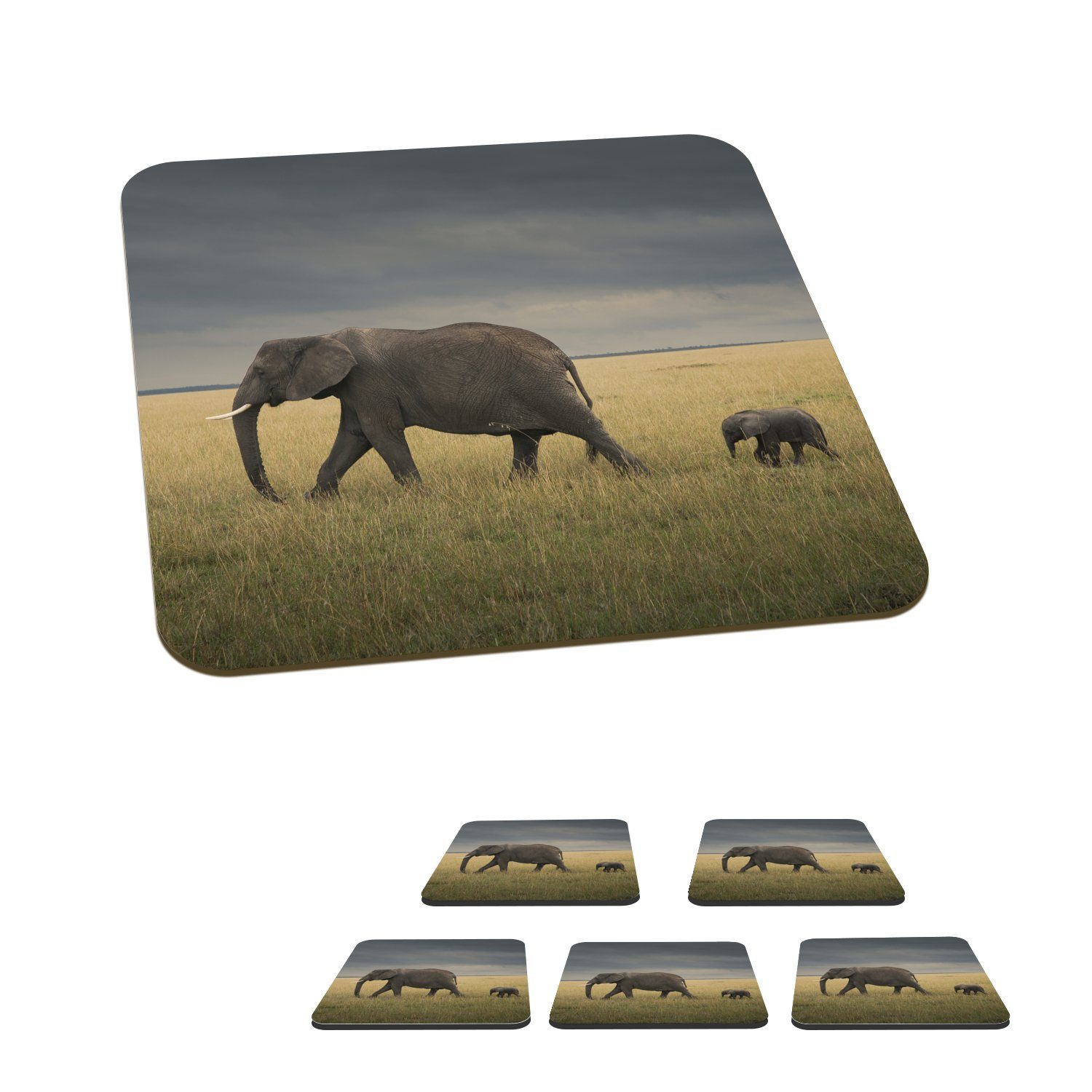 Savanne - - Elefant Korkuntersetzer, Glasuntersetzer, Tasse für Glasuntersetzer Tiere MuchoWow Zubehör 6-tlg., - Gläser, Natur, Untersetzer, Tischuntersetzer,
