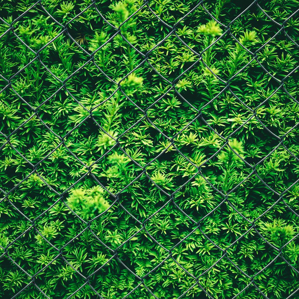 V2Aox Maschendrahtzaun Maschendraht Zaun 80 - 150 cm / 15 - 25 m Länge Gartenzaun Grün