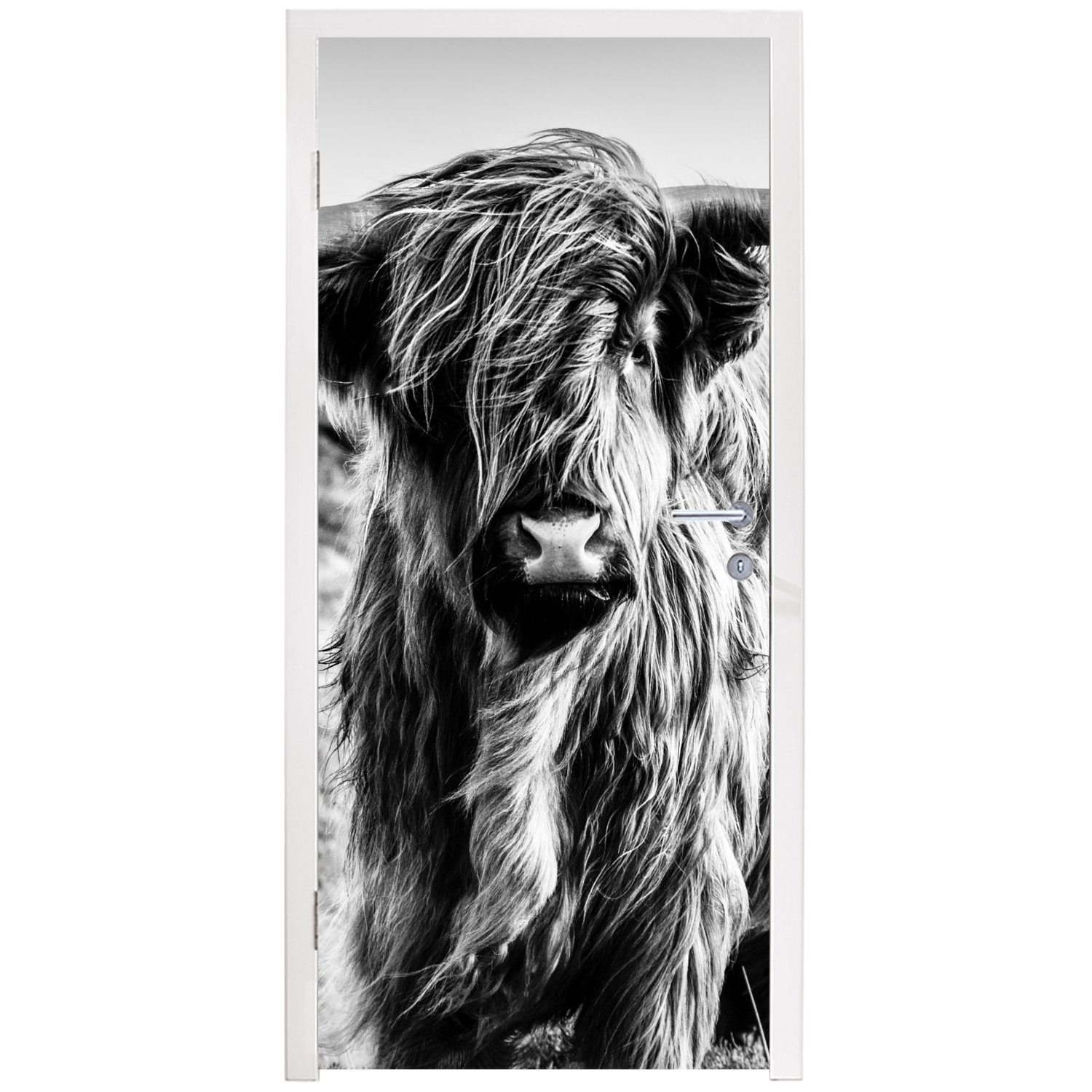 Schottischer - Kuh Natur St), bedruckt, Schwarz Tür, für 75x205 Matt, Highlander cm Fototapete - MuchoWow - Türtapete - Weiß, Türaufkleber, (1