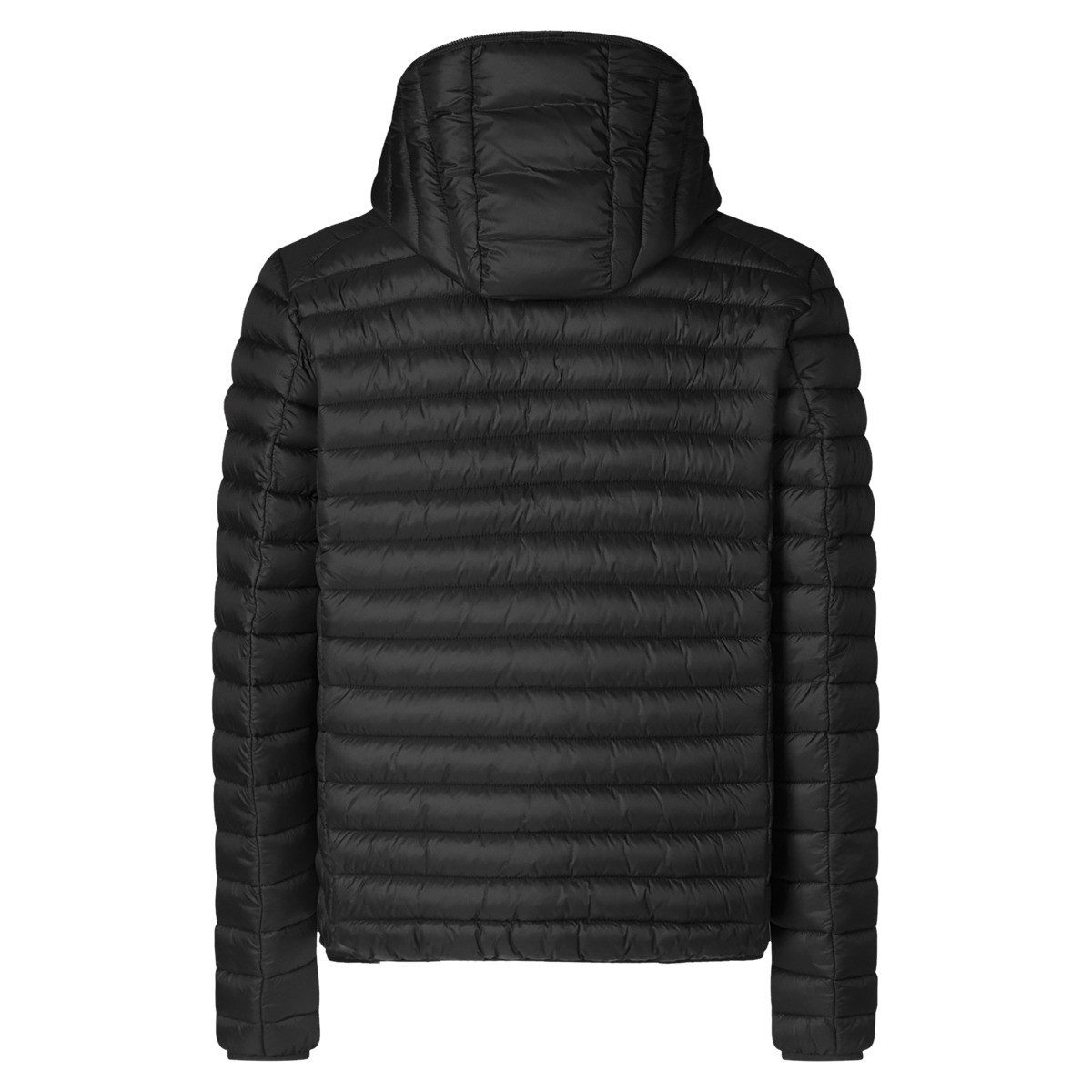 SAVE THE DUCK Steppjacke Save the Duck Donald Steppjacke Herren Bekleidung günstig online kaufen