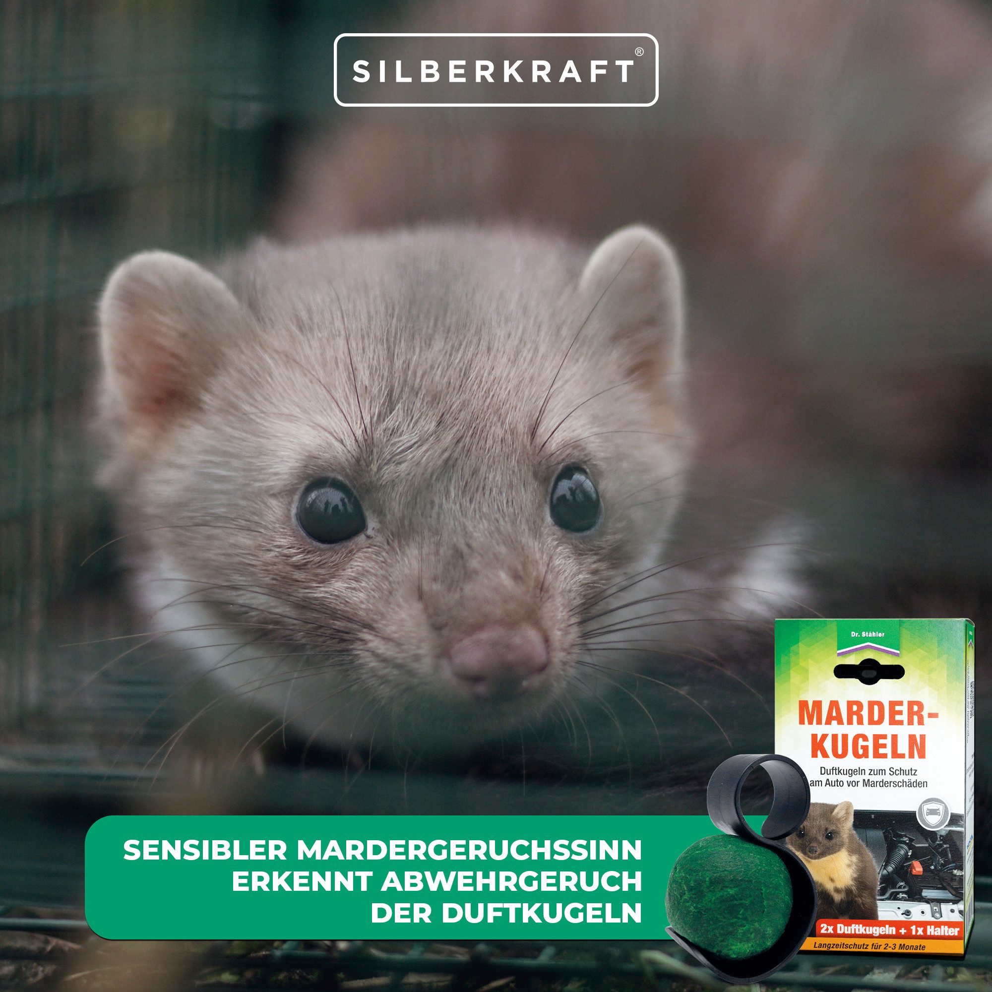 Thumbnail - Silberkraft Marderabwehr-Stäbchen Marder-Duftkugeln - Effektiver Schutz vor Marderschäden am Auto, 20-St., Langanhaltend...